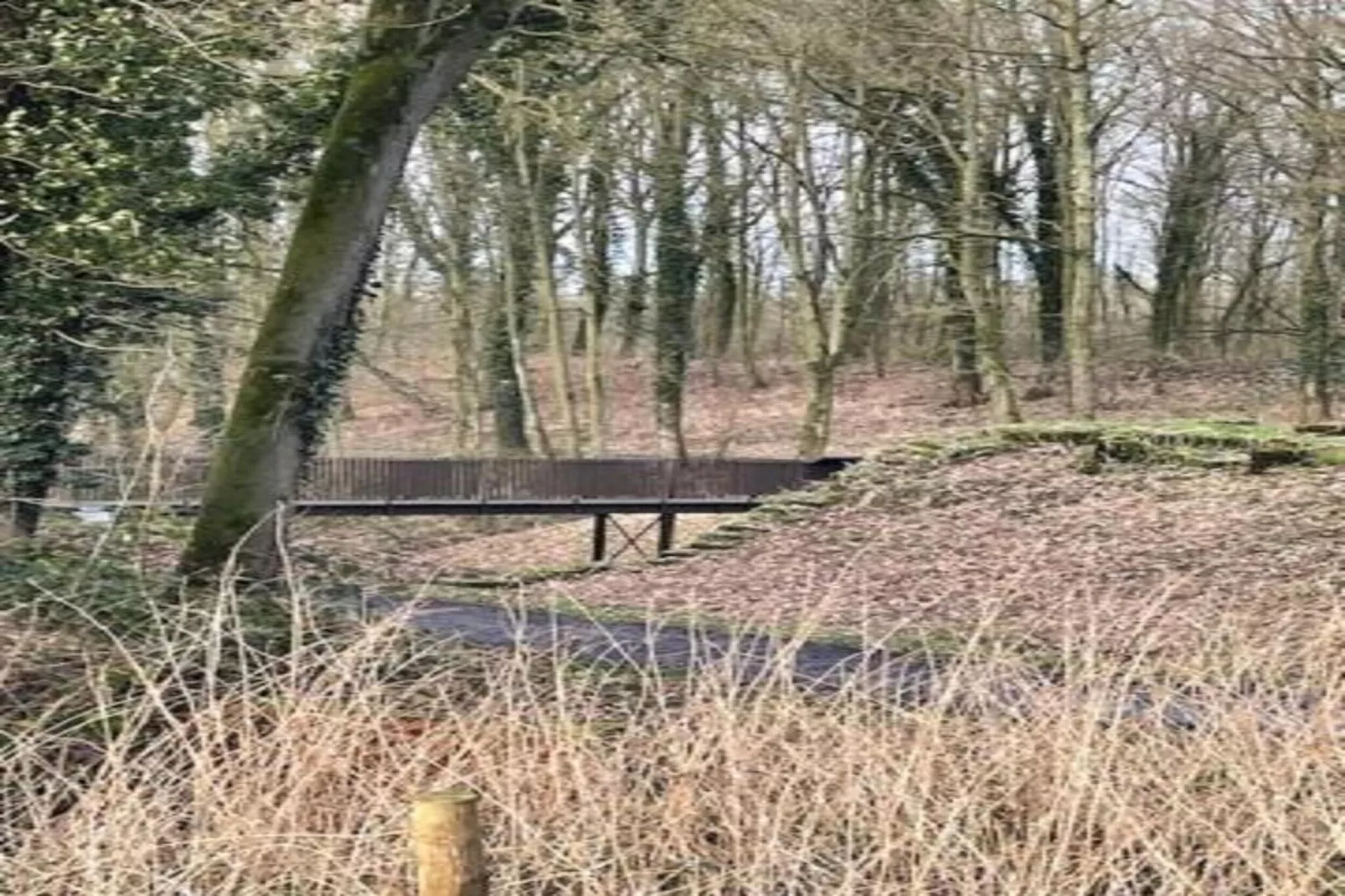 Hommelhove-Gebieden zomer 20km
