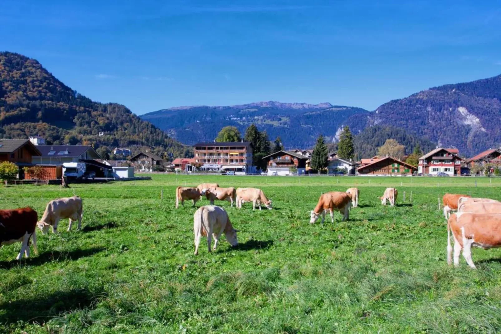 Haus Zumbrunn-Gebieden zomer 20km