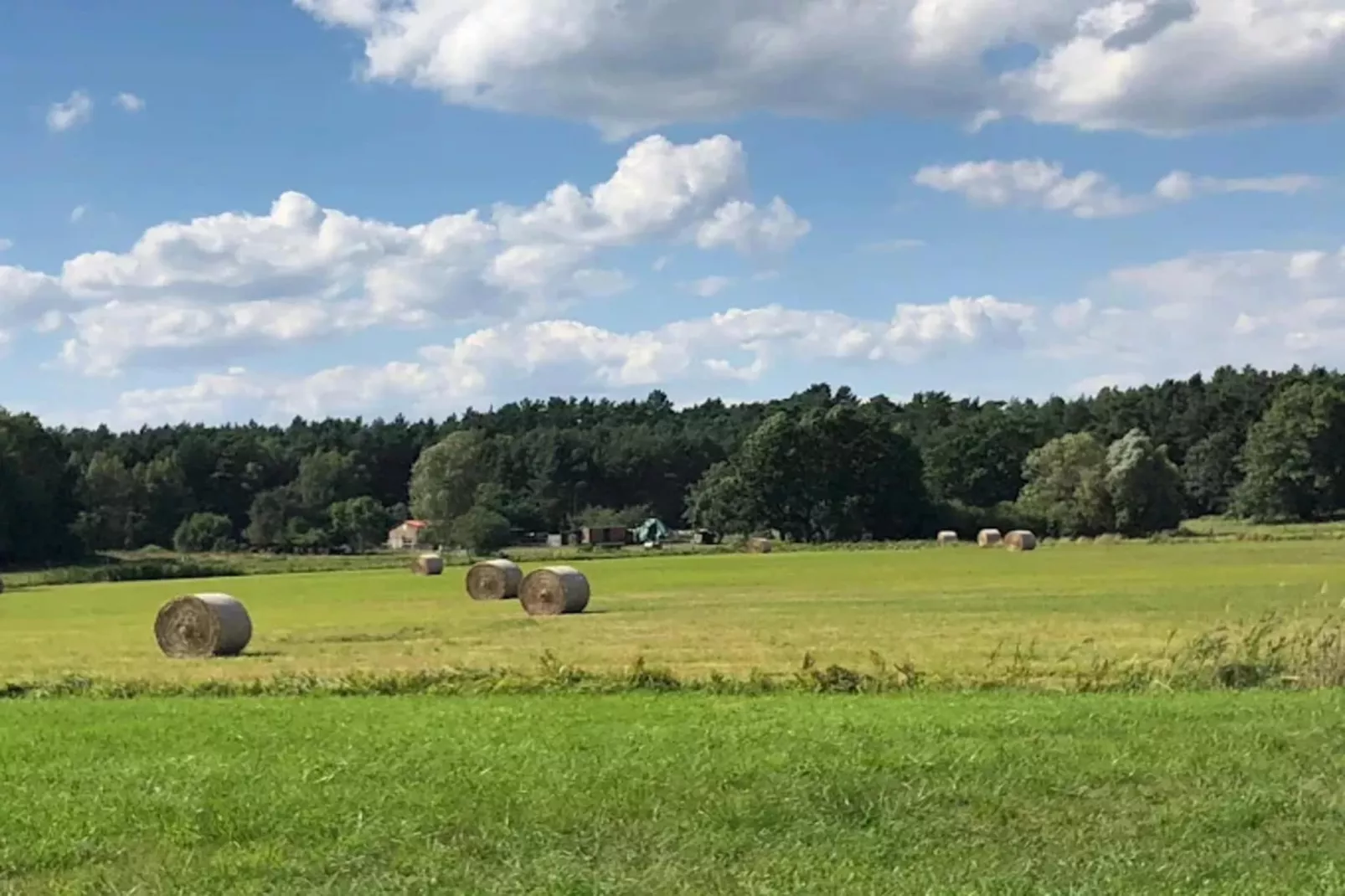 Ferienhaus 140 qm-Gebieden zomer 5km