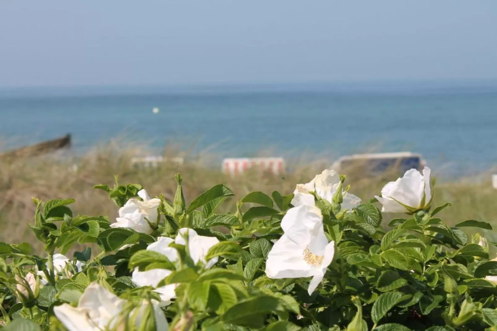 Ferienwohnung Alte Ziegelei-Gebieden zomer 20km
