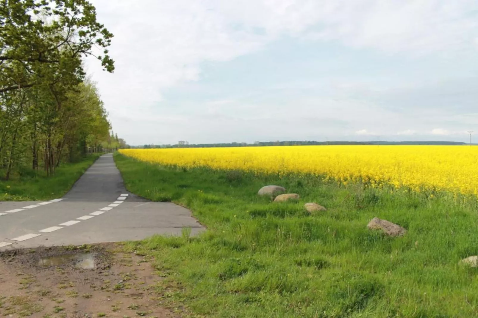Beletage bei Gerdshagen-Gebieden zomer 20km