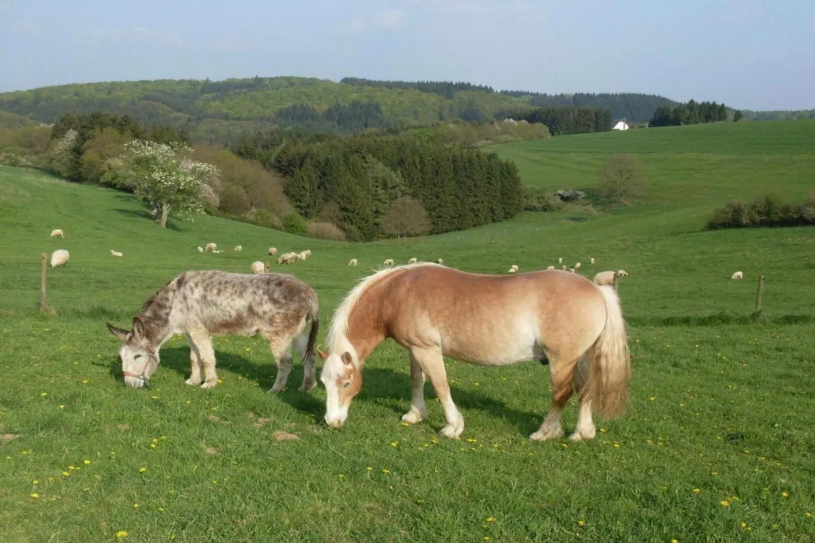 Ferienwohnung Obergeschoss Weitblick II-Gebieden zomer 5km
