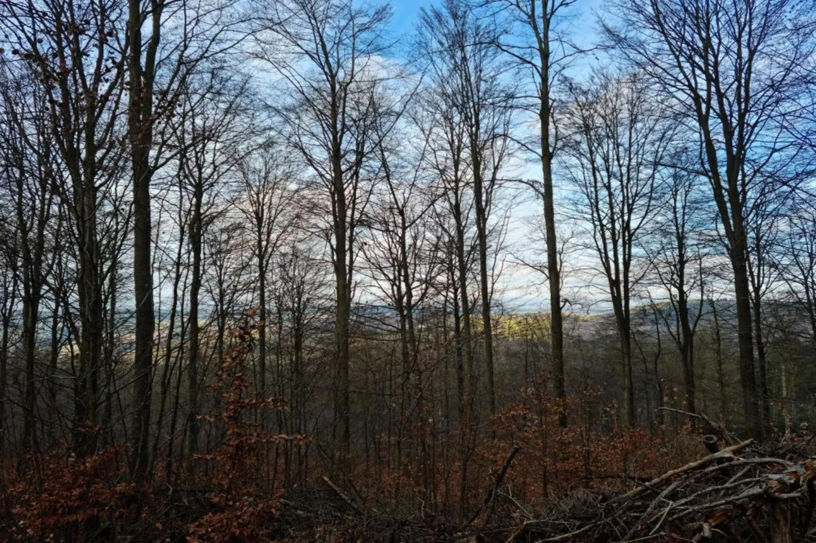 Der kleine ULI-Gebieden zomer 20km