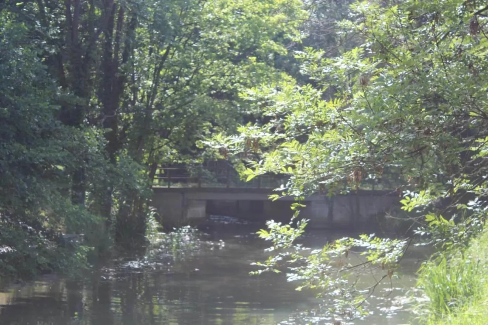 Waldblick-Gebieden zomer 5km