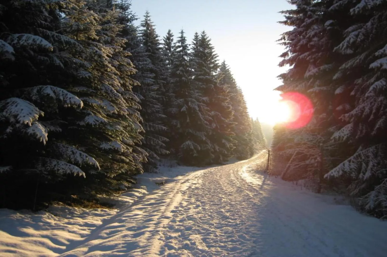 Rittersgrün-Gebied winter 20km