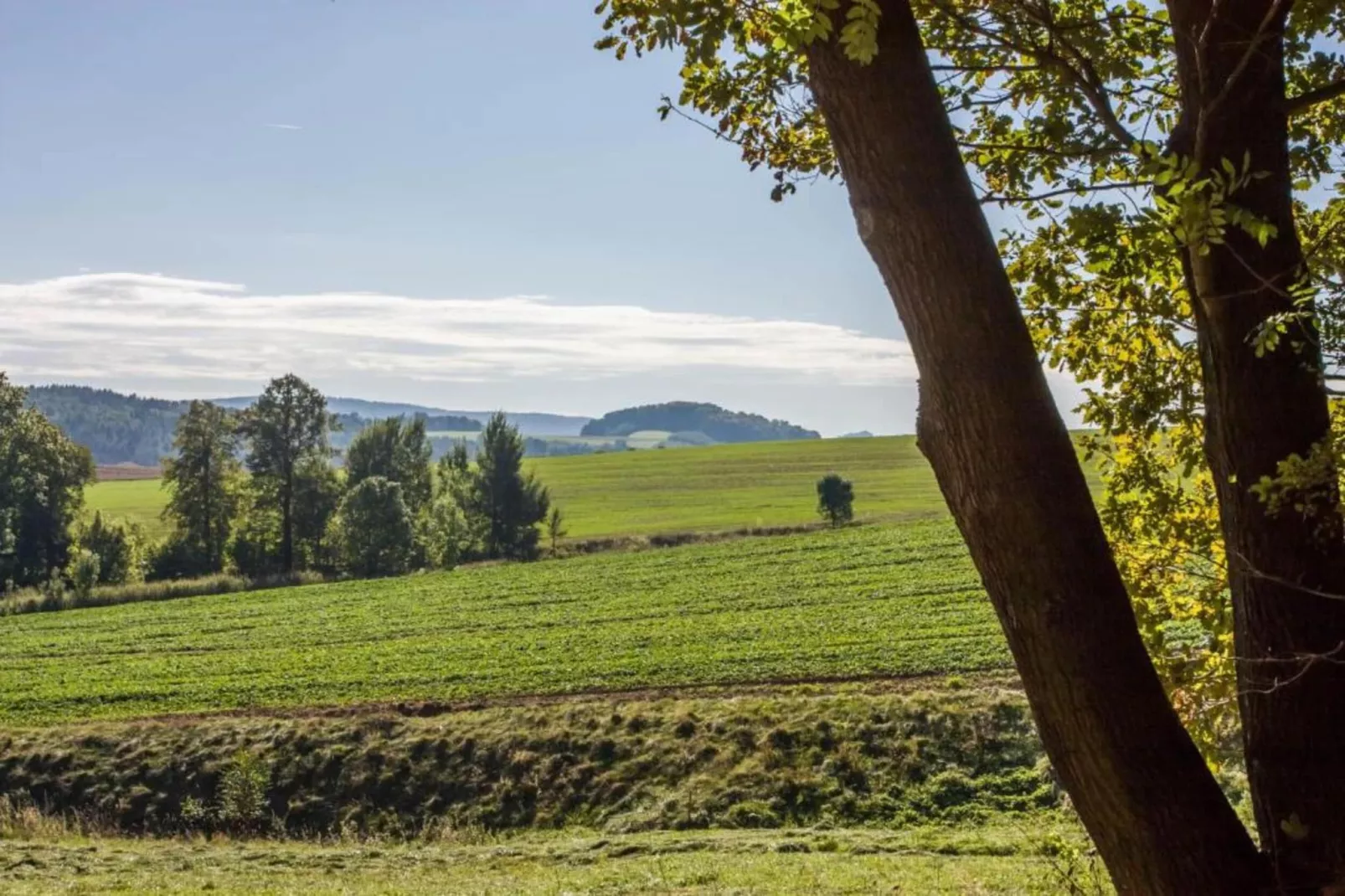 Im Erzgebirge-Gebieden zomer 20km