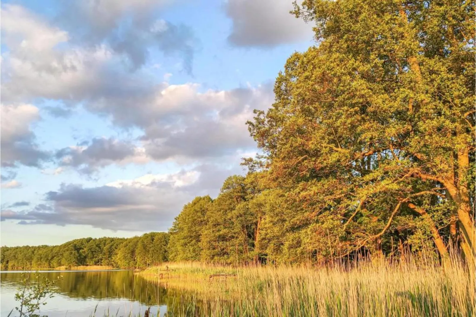 Ferienhaus Ahlbeck am Haff - Schlafen unter Reet / 2-Gebieden zomer 20km
