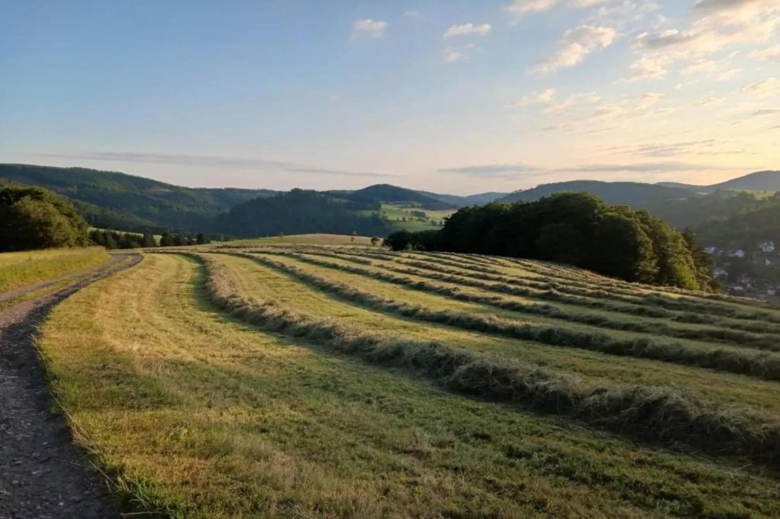 Barbara-Gebieden zomer 20km