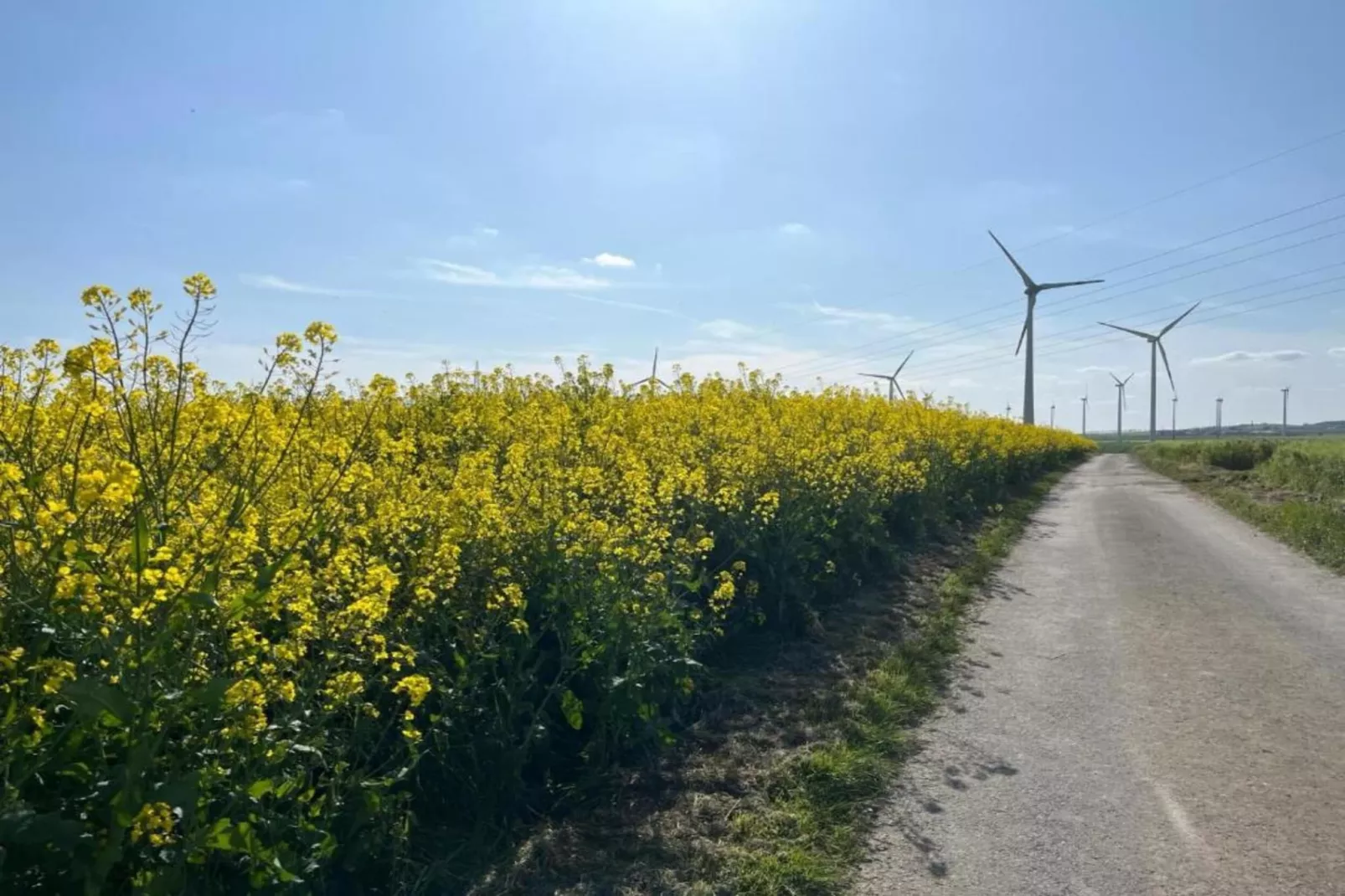 Kaifenheimer Mühle 2-Gebieden zomer 20km