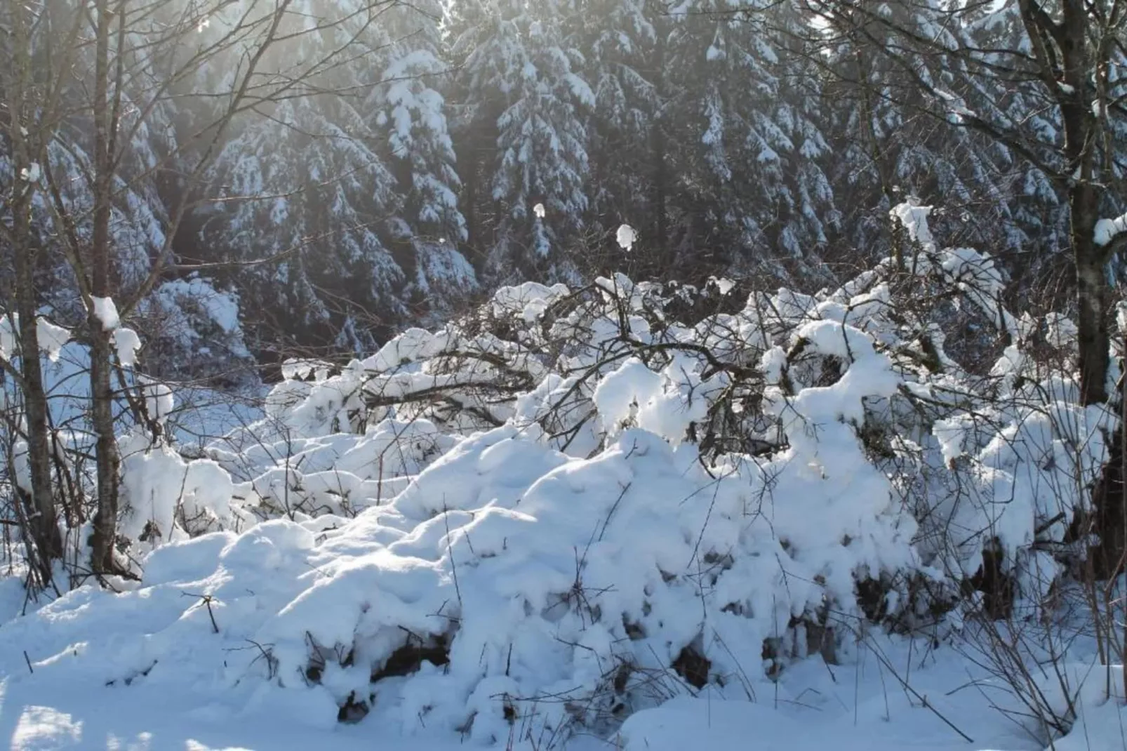 Schwermann-Gebied winter 5km
