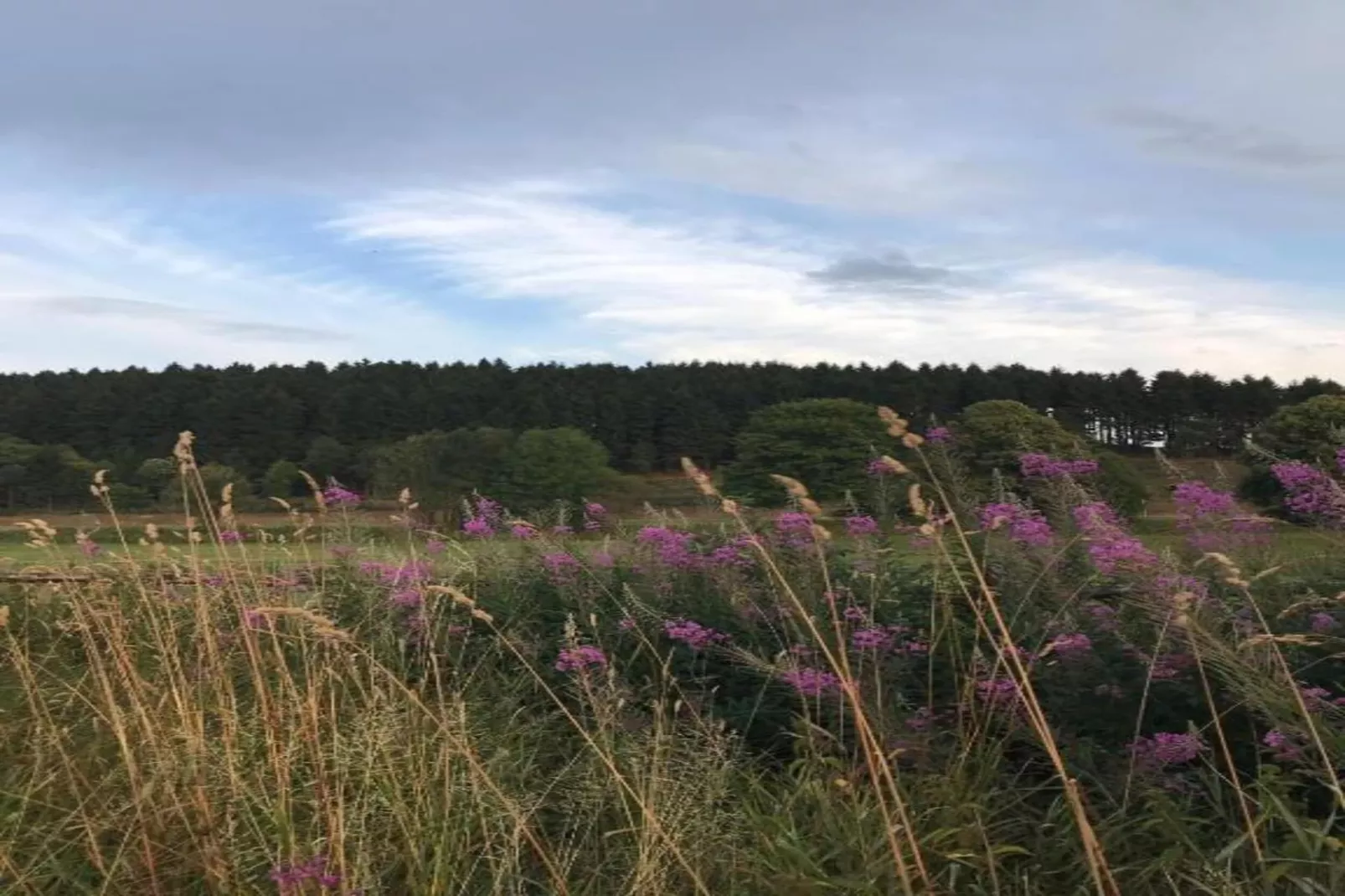 Zum Kahlen Asten-Gebieden zomer 5km