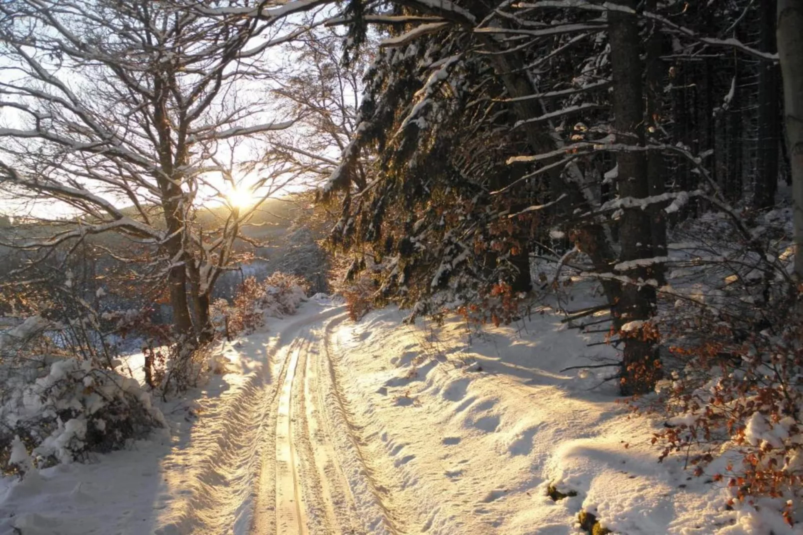 Küstelberg-Gebied winter 5km