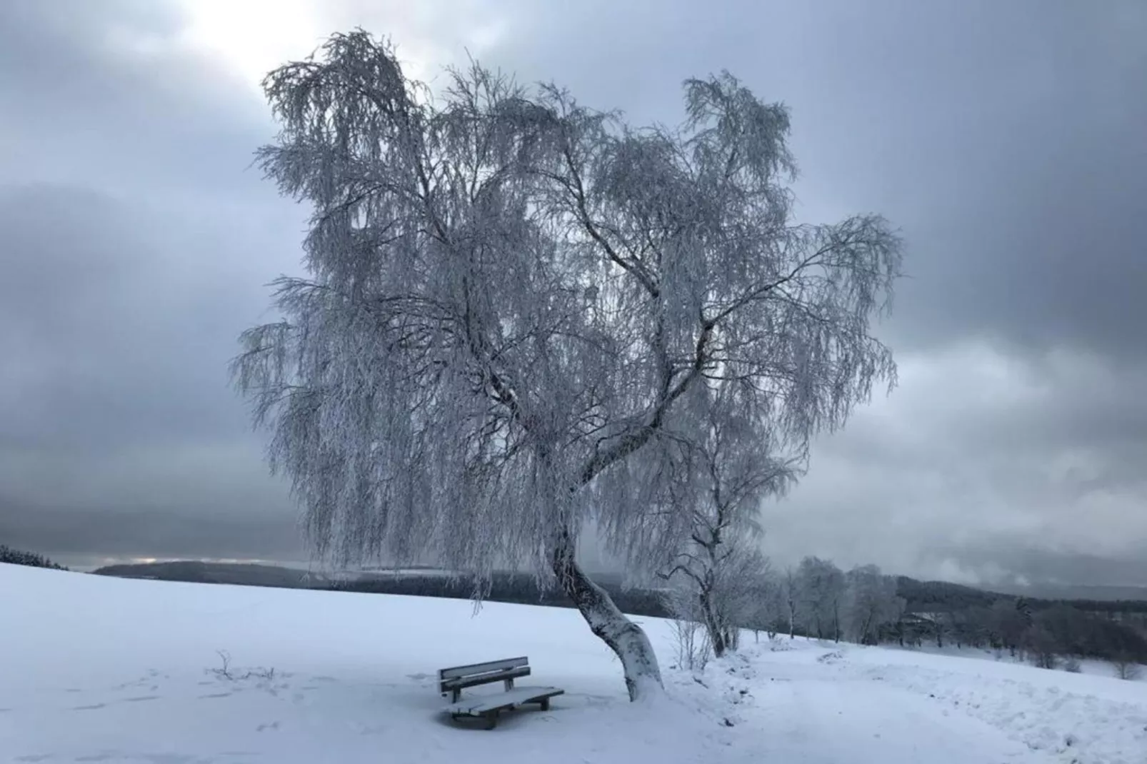 Küstelberg-Gebied winter 20km