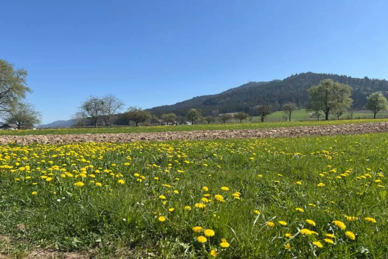 Am Stulzenhof-Gebieden zomer 20km