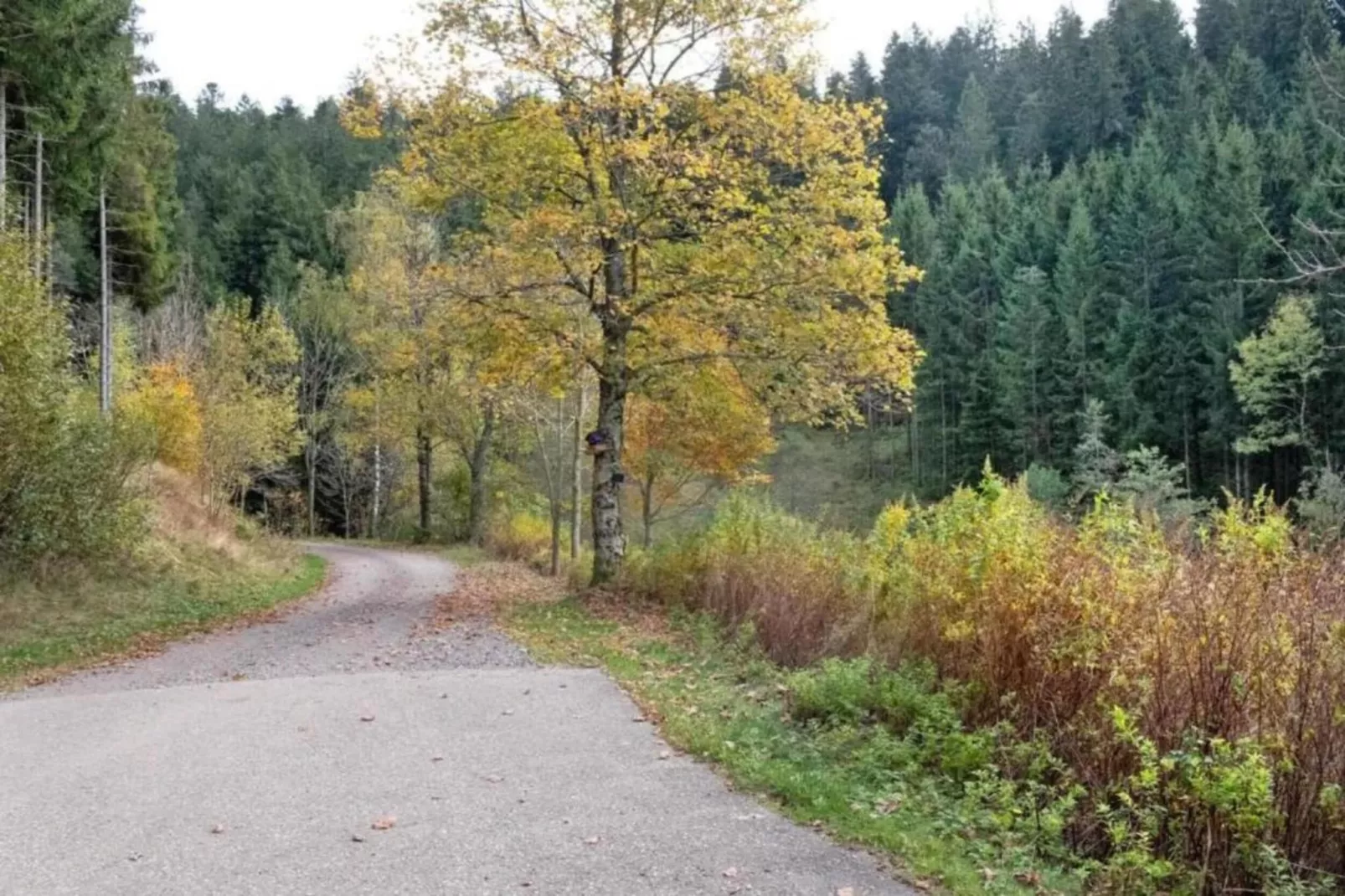 Gästehaus Hauber-Gebieden zomer 20km