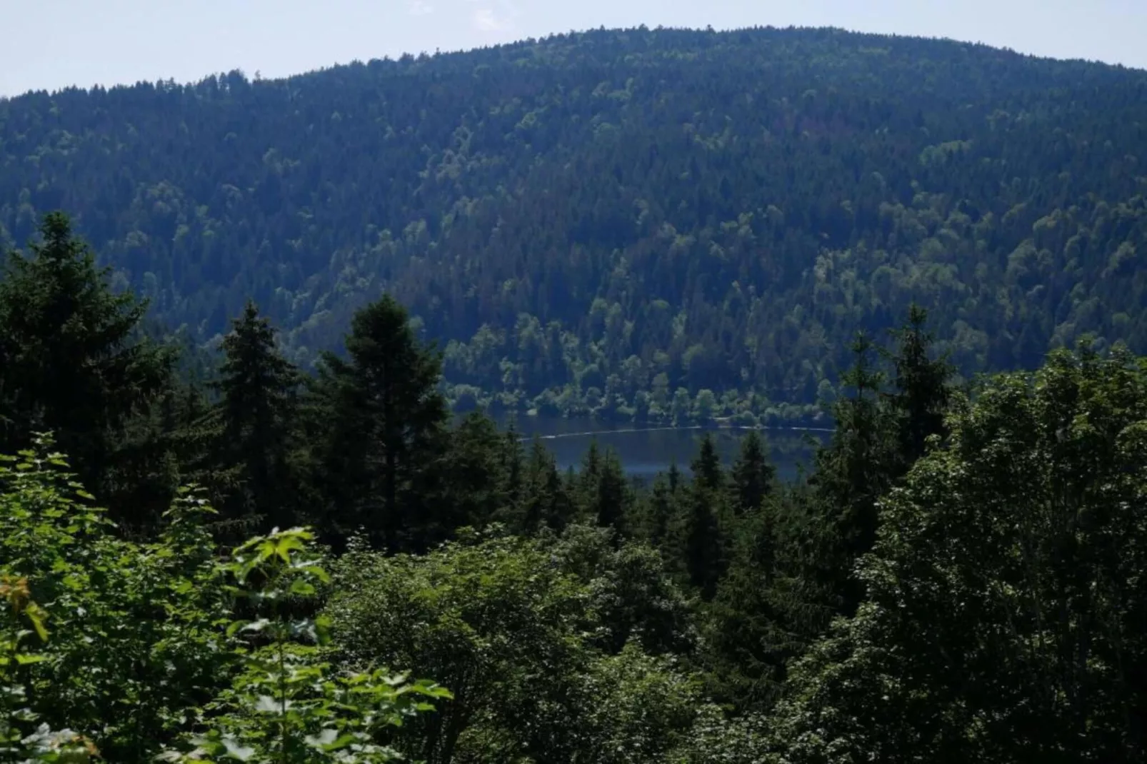 Schwarzwaldhaus Pferdeklause-Gebieden zomer 20km