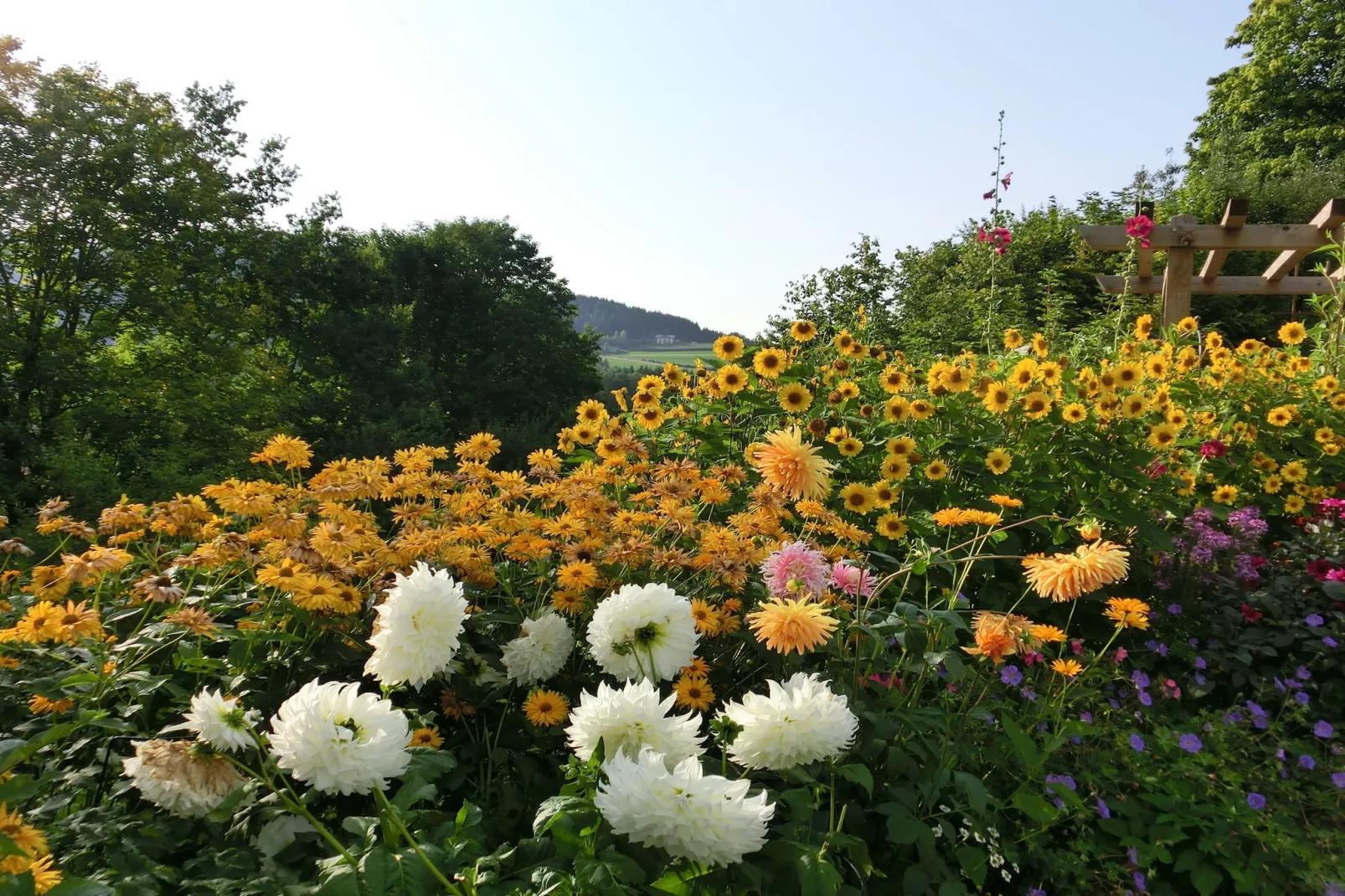 Bayerischer Wald-Tuinen zomer