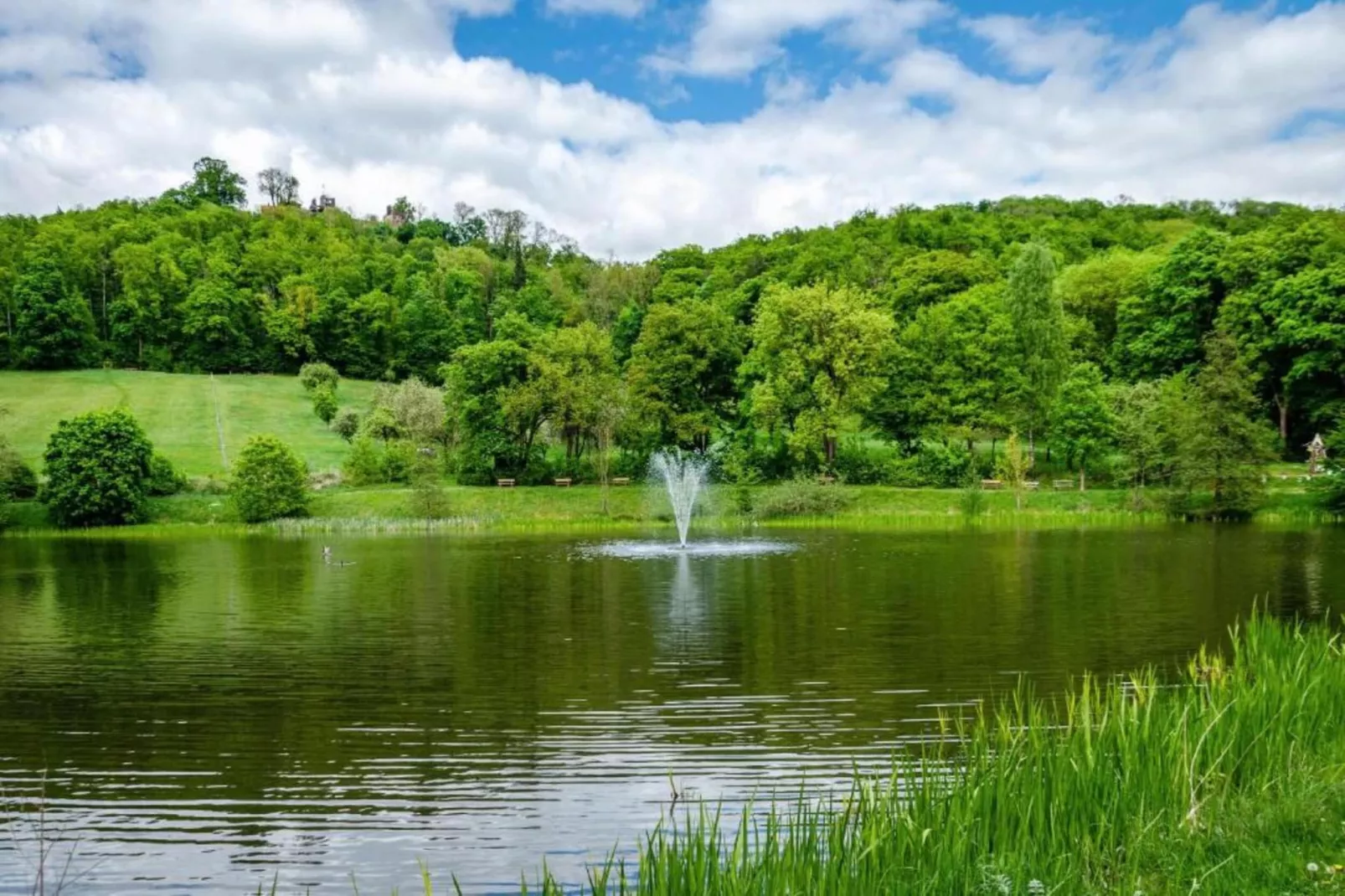 Neustadt 1-Gebieden zomer 5km