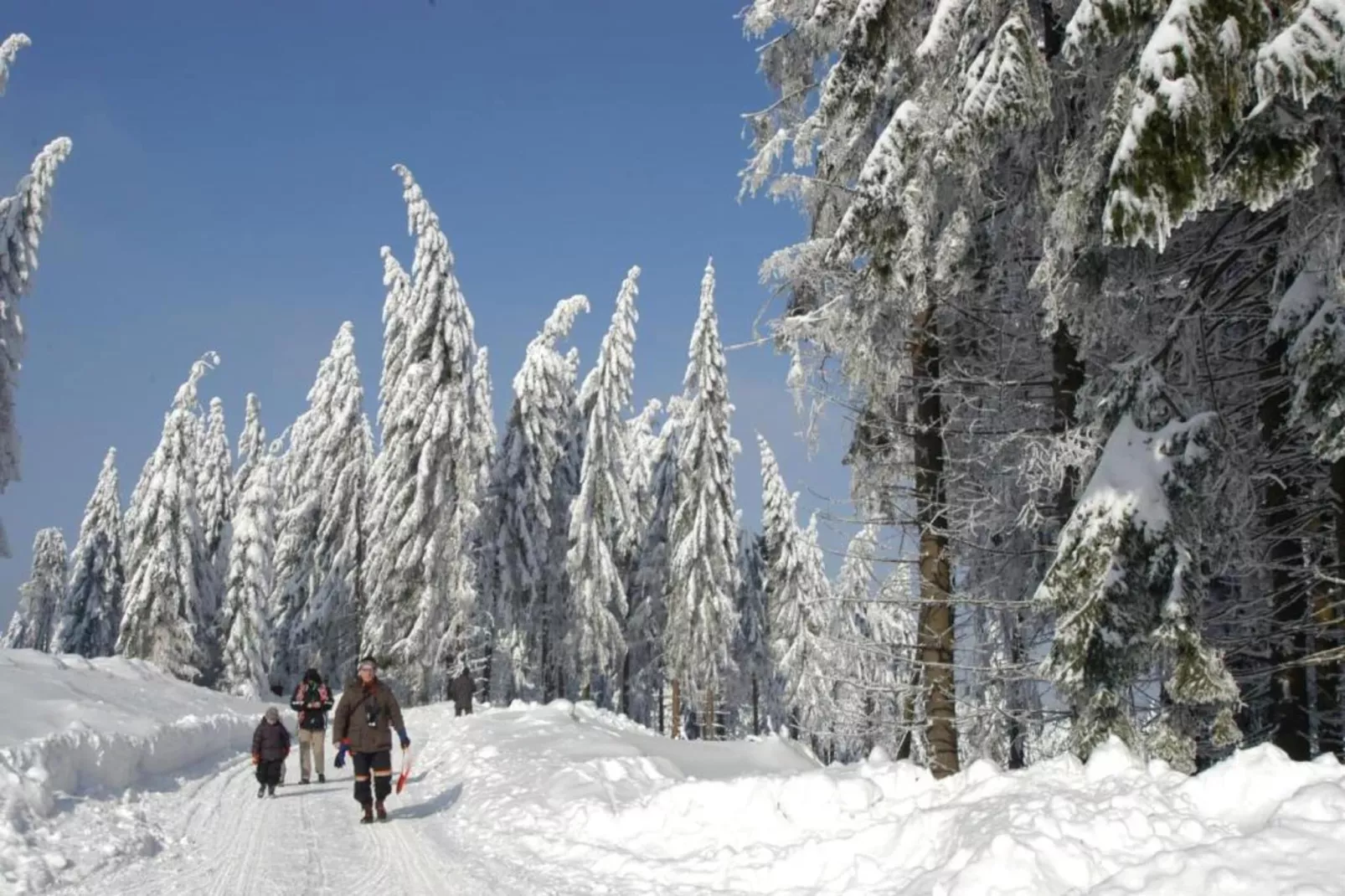 Ferienhaus im Thüringer Wald-Gebied winter 5km