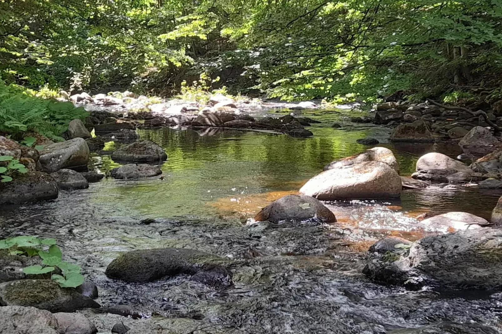 ExclusivLodge - 8 Pers-Gebieden zomer 5km