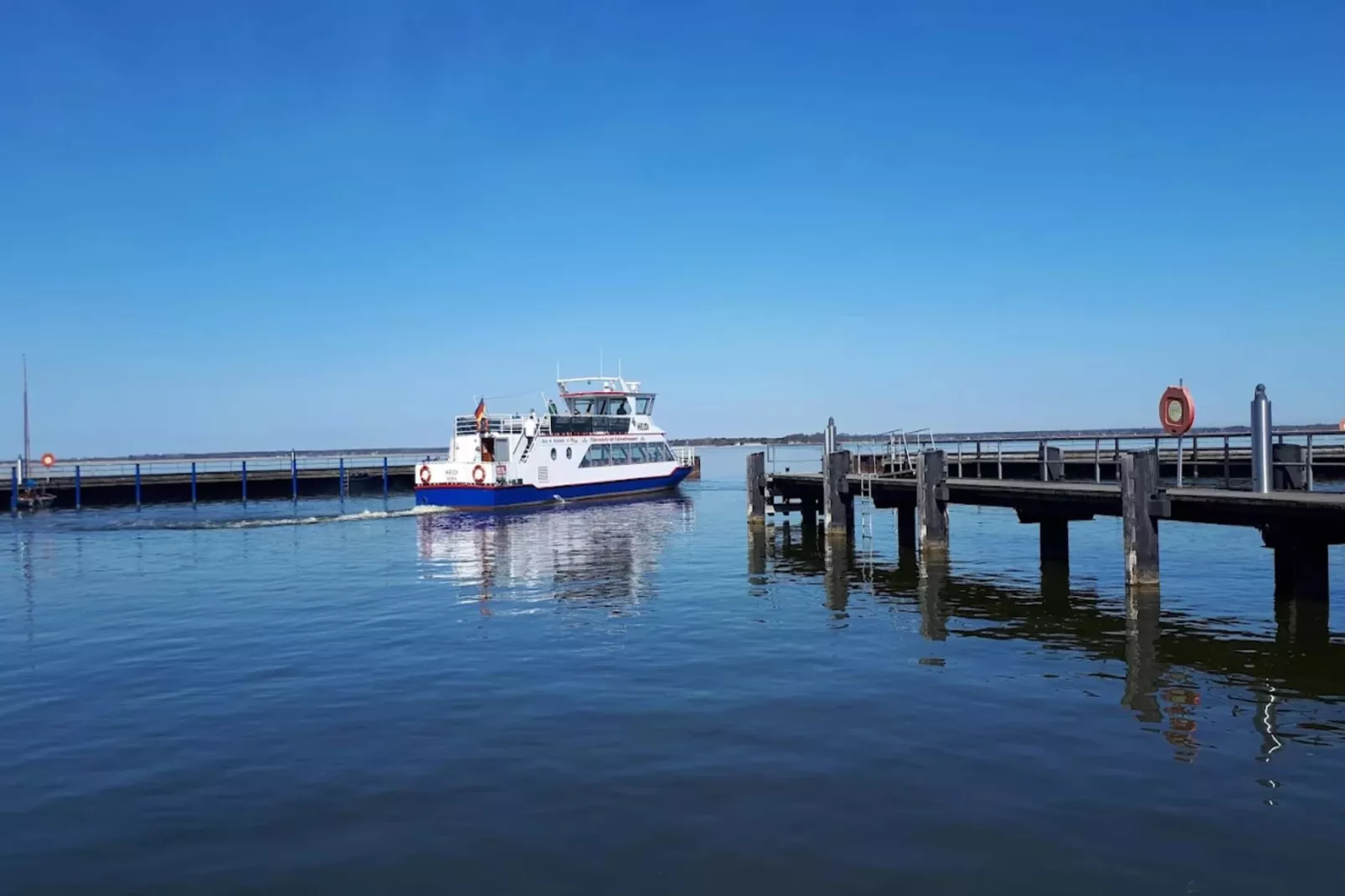 Schilfrohrsänger 51-Gebieden zomer 1km