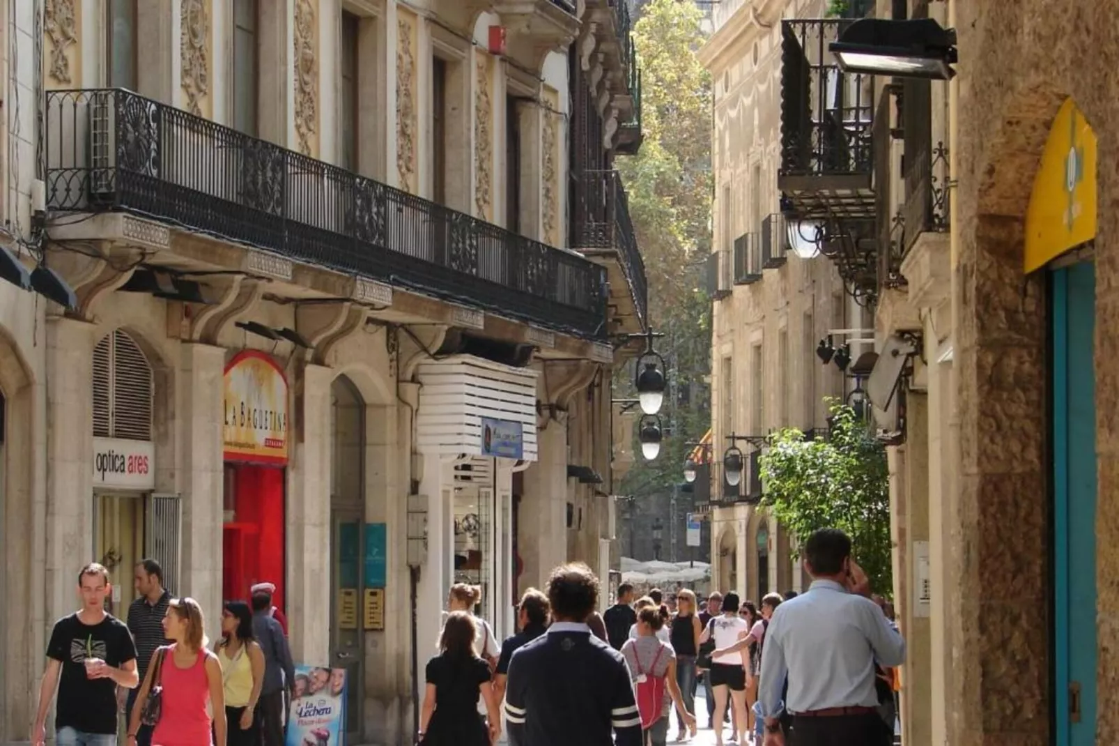 Mas Set Rengs 3-Gebieden zomer 20km