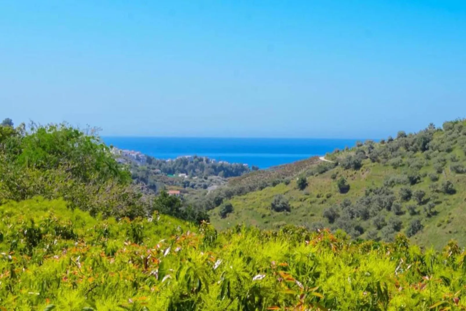 Cortijo Albaricoque-Gebieden zomer 20km