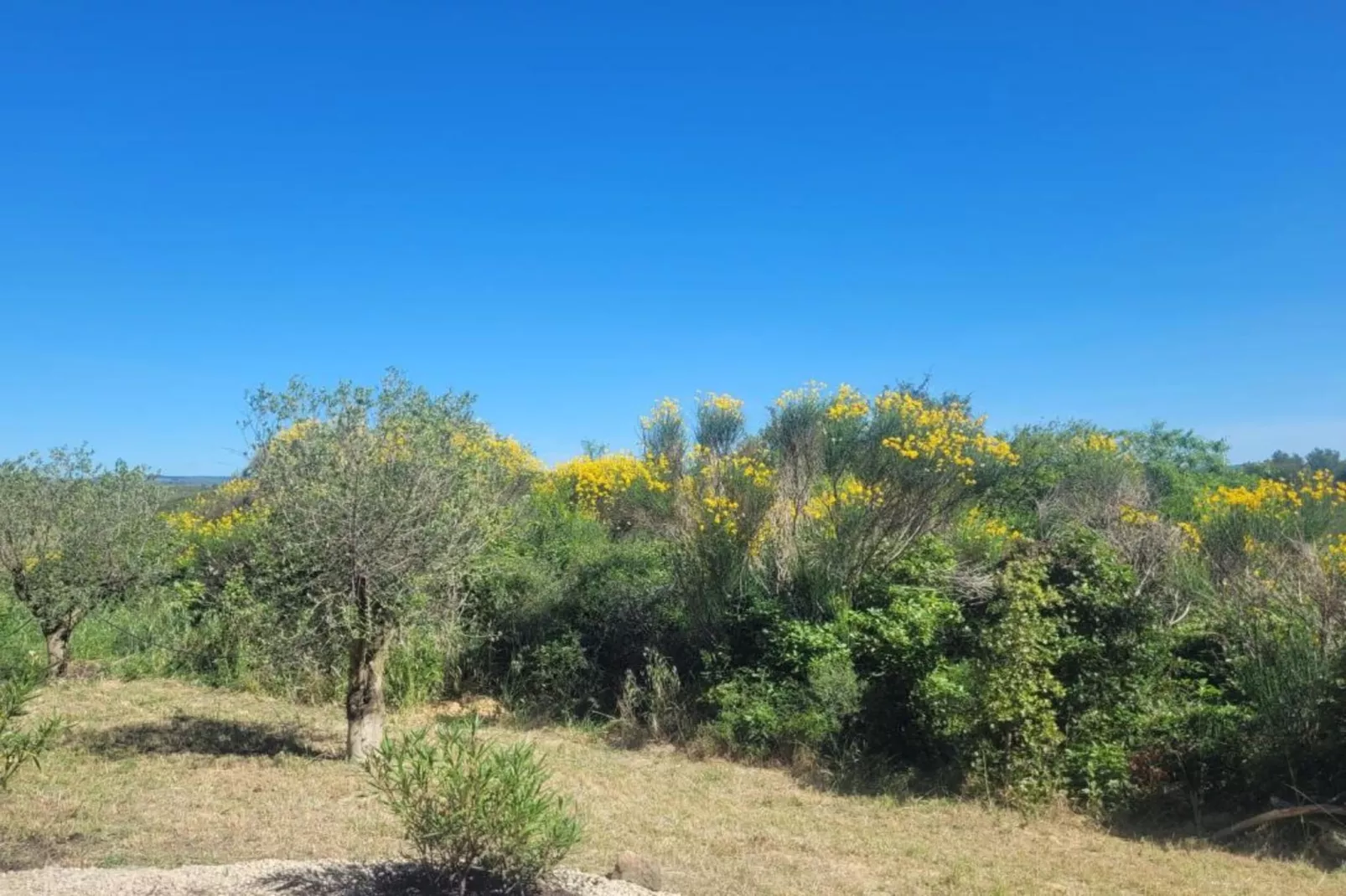 Villa Canissa-Gebieden zomer 5km