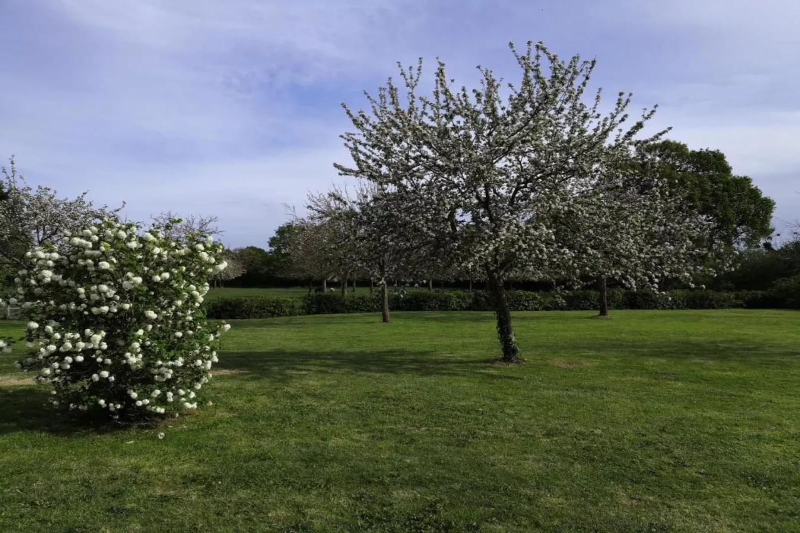 LA MAISON BLEUE/ TAILLEPIED-Gebieden zomer 20km