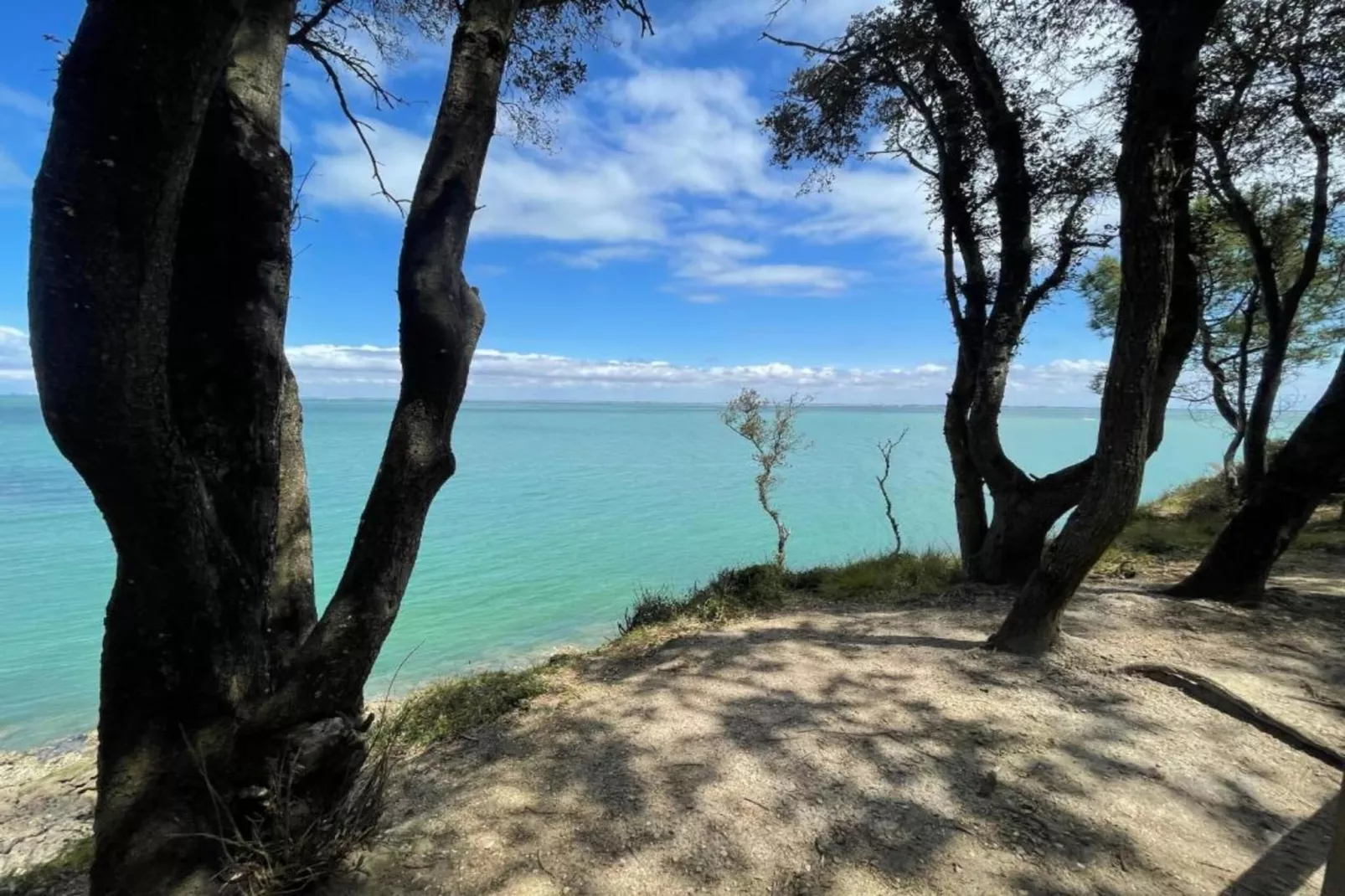 Les Terrasses de Fort Boyard 2-Gebieden zomer 1km