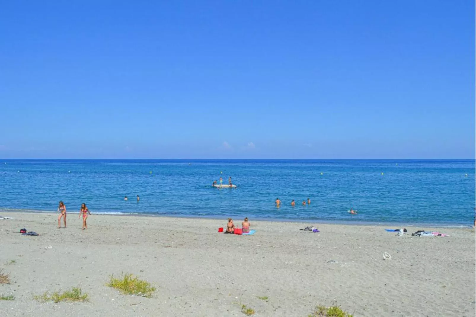 Turquoise-Gebieden zomer 1km