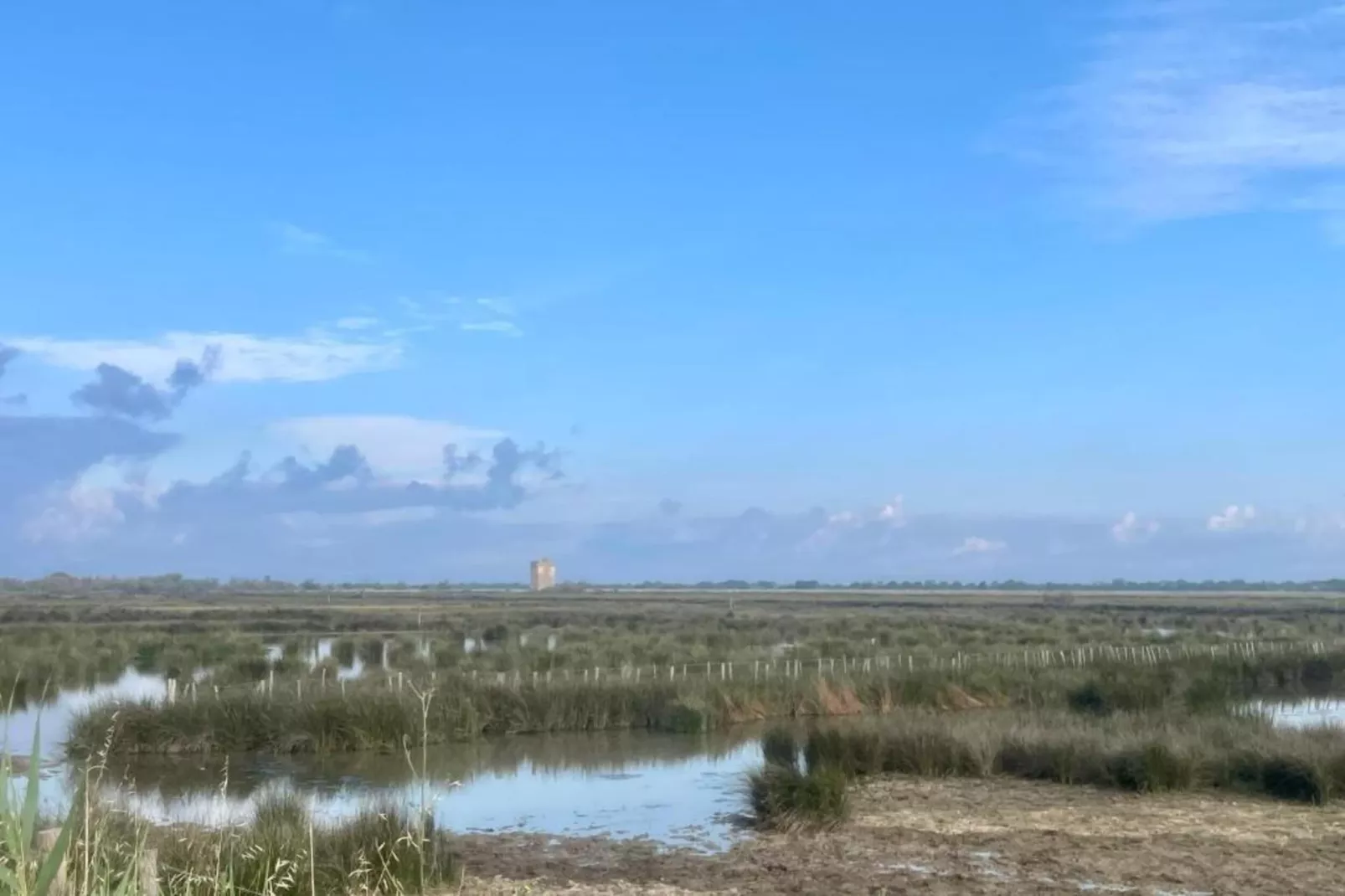 Résidence le Mas des Flamants 2-Gebieden zomer 5km