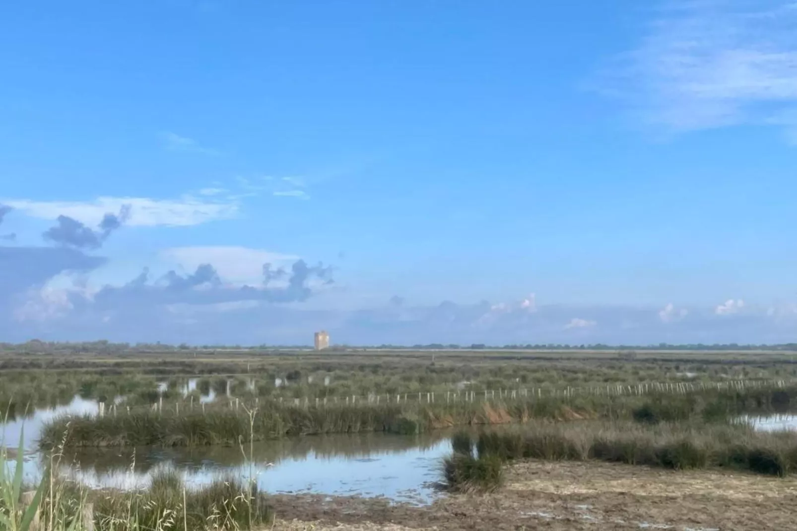 Fleur de Sel - Aigues Mortes 1-Gebieden zomer 5km
