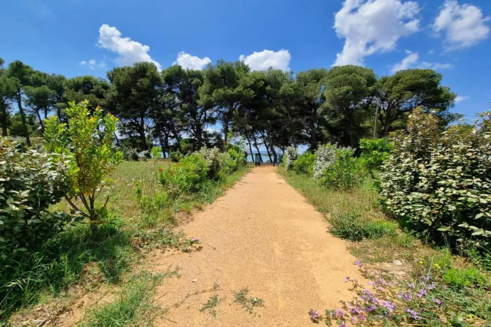 Le Loft-Gebieden zomer 20km