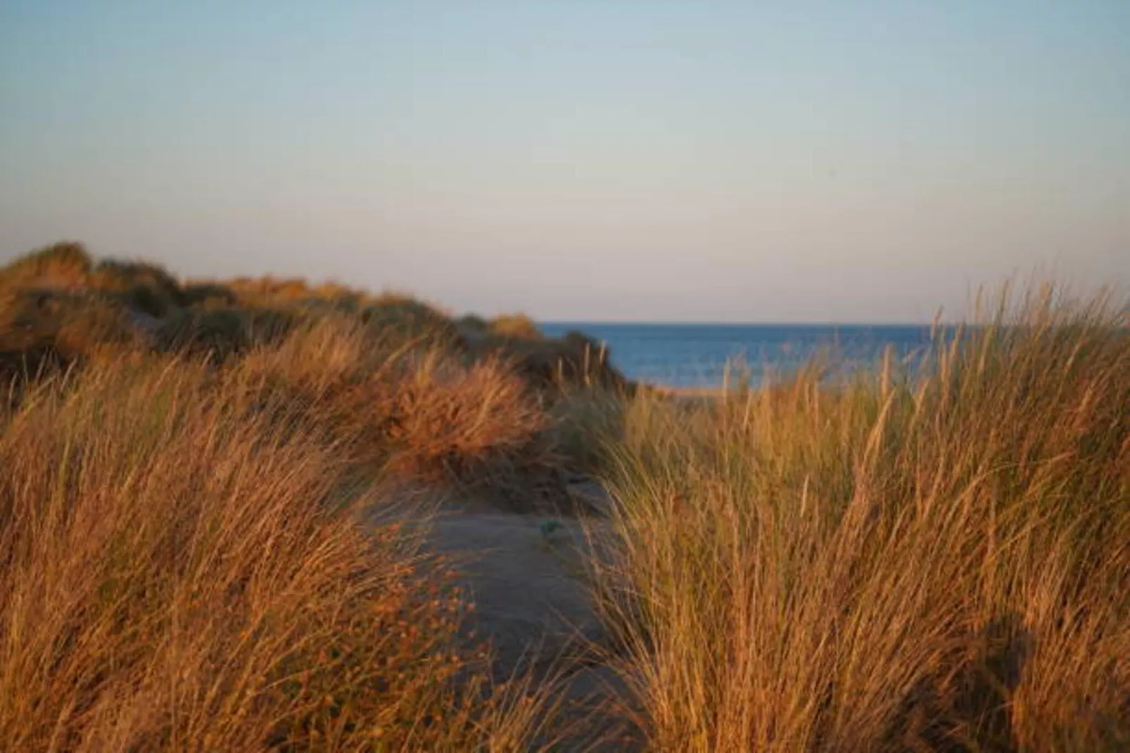 Résidence La Dune 2-Gebieden zomer 20km