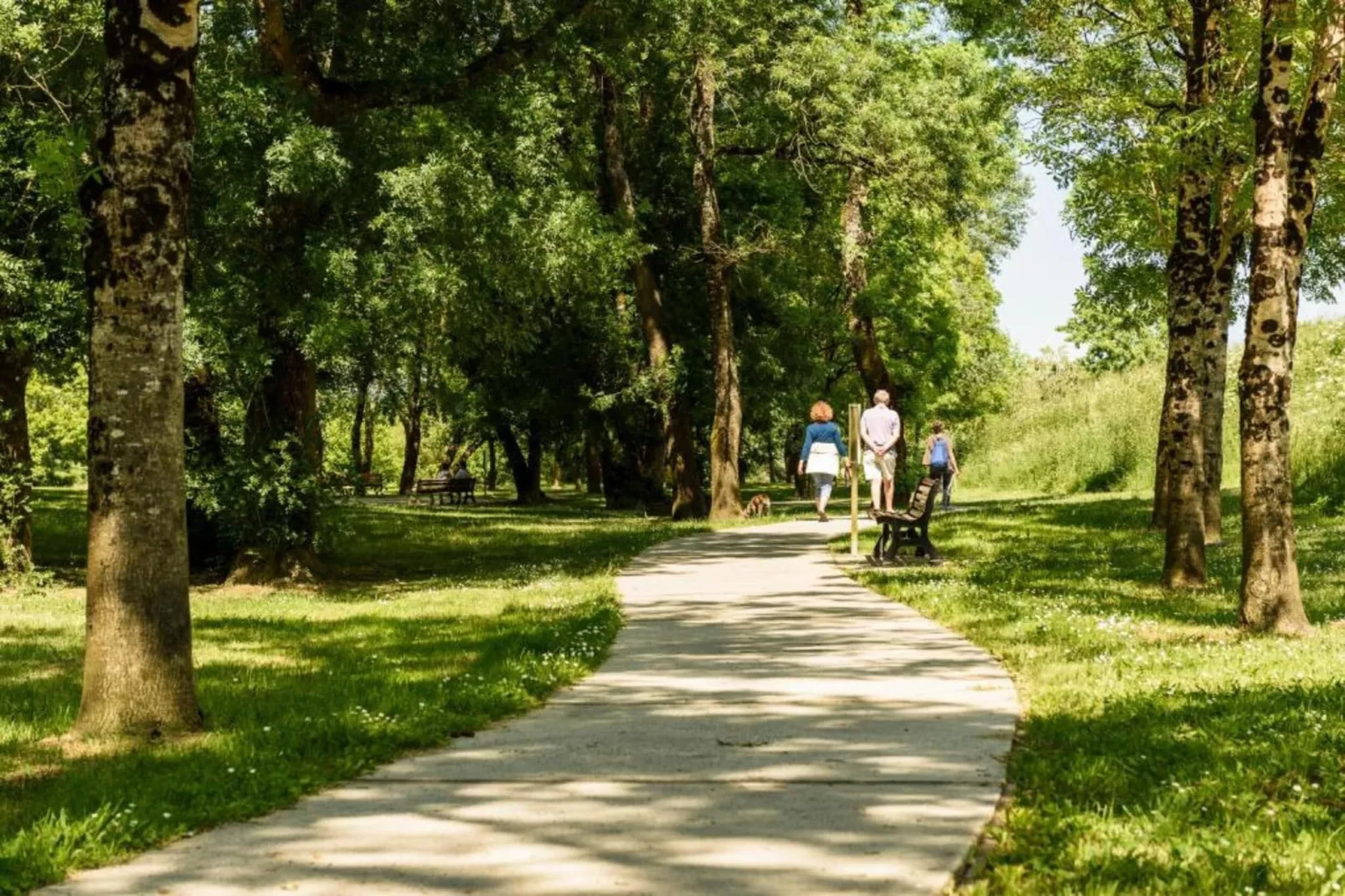 La Maison Seberika-Gebieden zomer 20km
