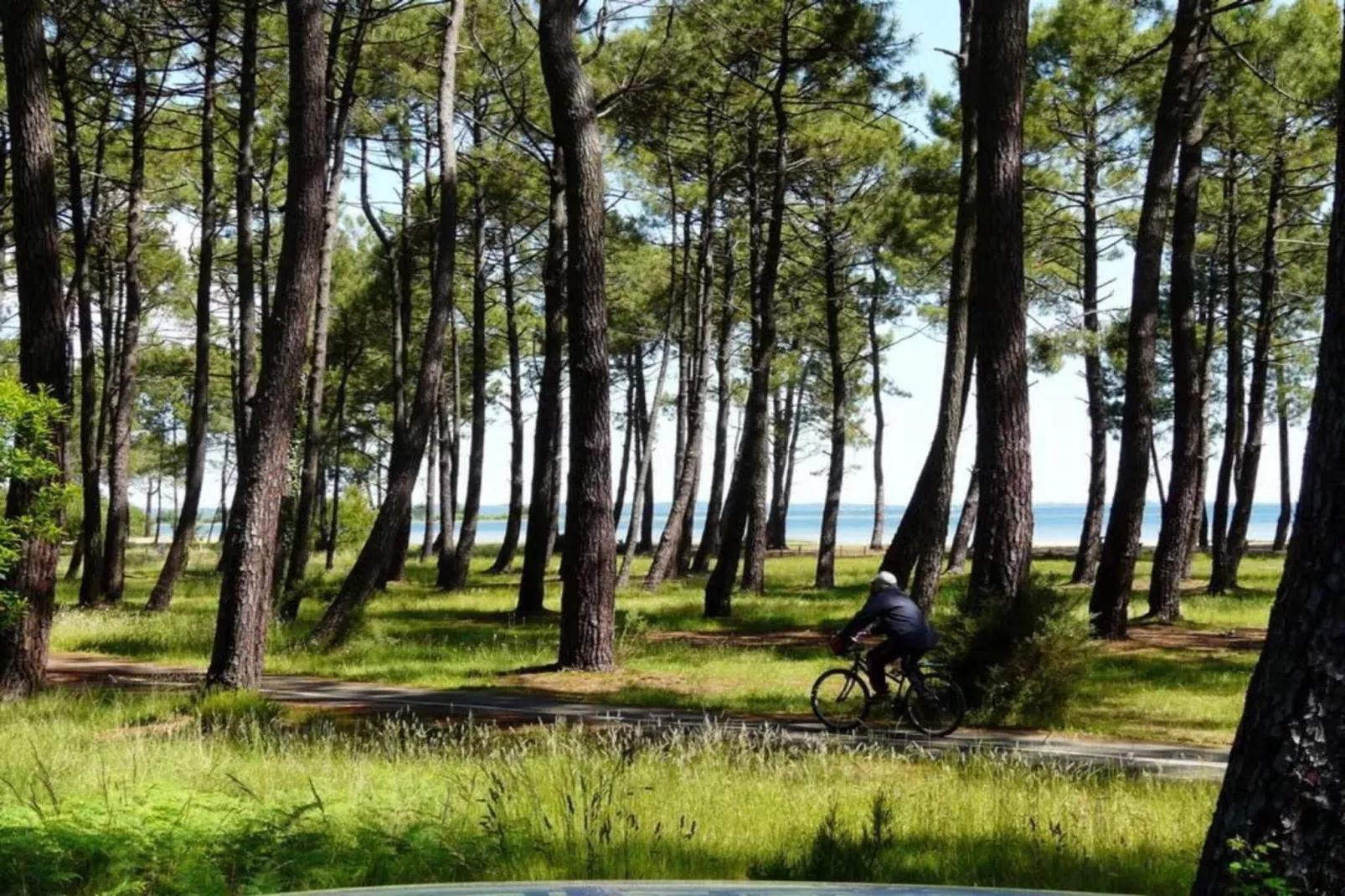 Le Domaine des Grands Lacs 1-Gebieden zomer 5km