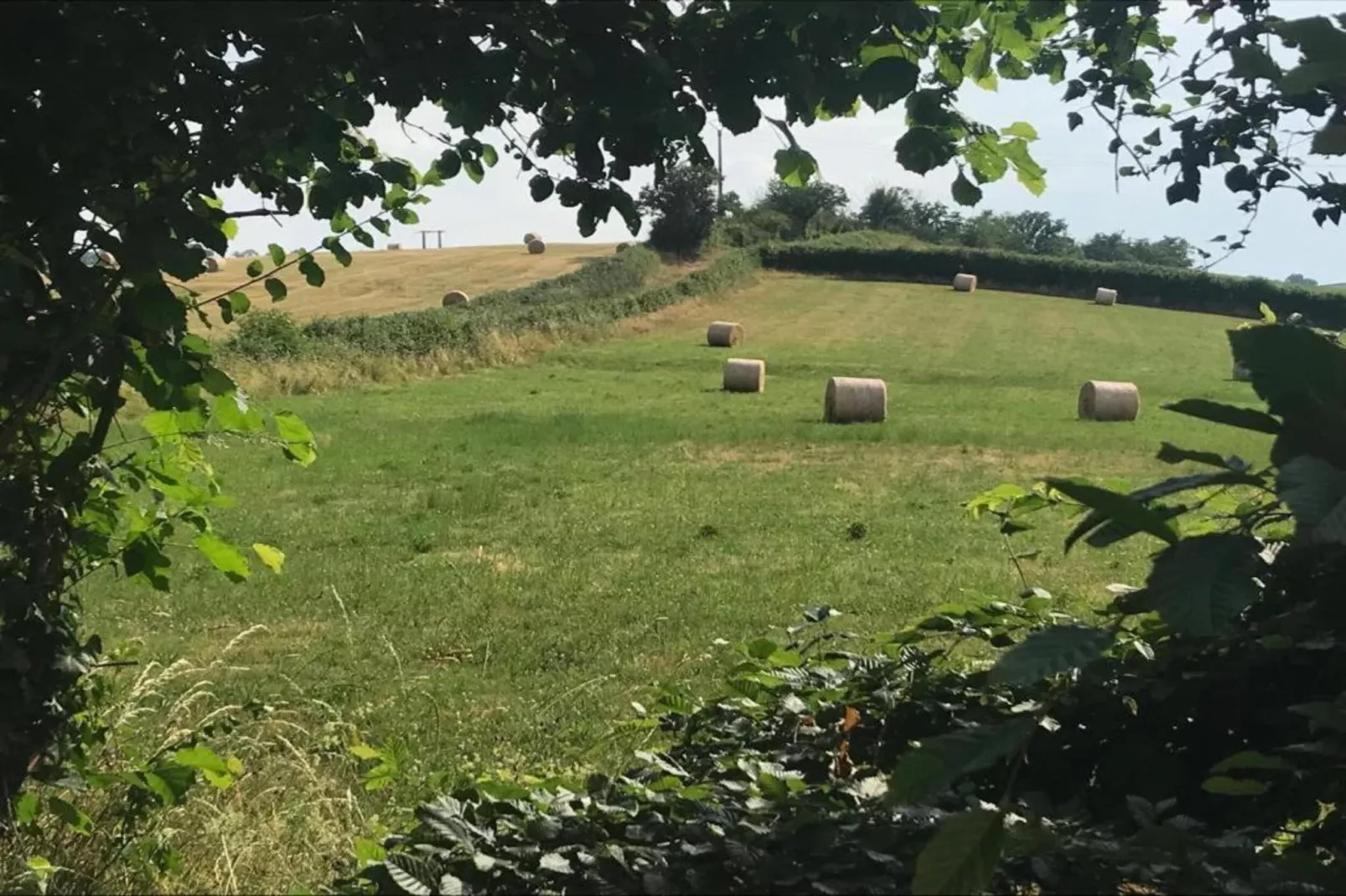 Maison Ferdinand-Gebieden zomer 20km