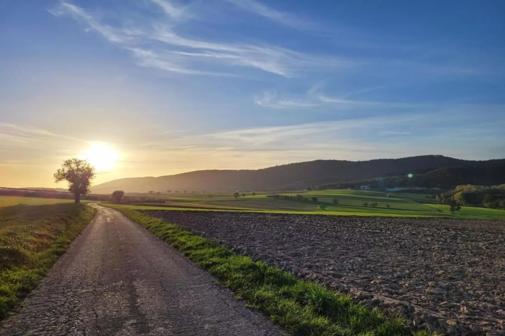 Maison de vacances - SCHLEITHAL-Gebieden zomer 20km