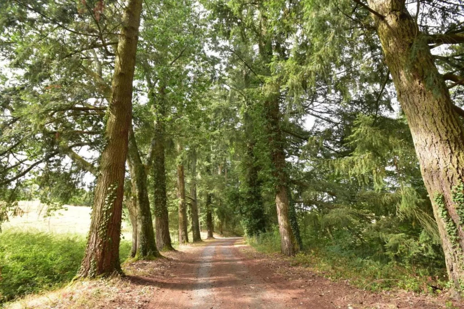 Apt 5 pers piscine partagée -  Jessica-Gebieden zomer 20km
