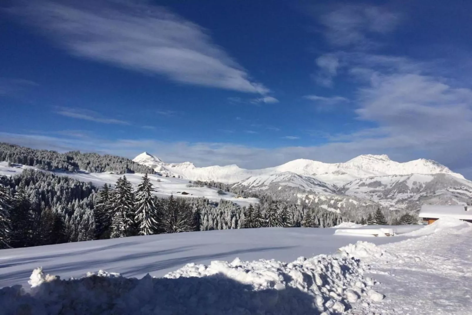 Résidence Les Belles Roches 1-Gebied winter 20km