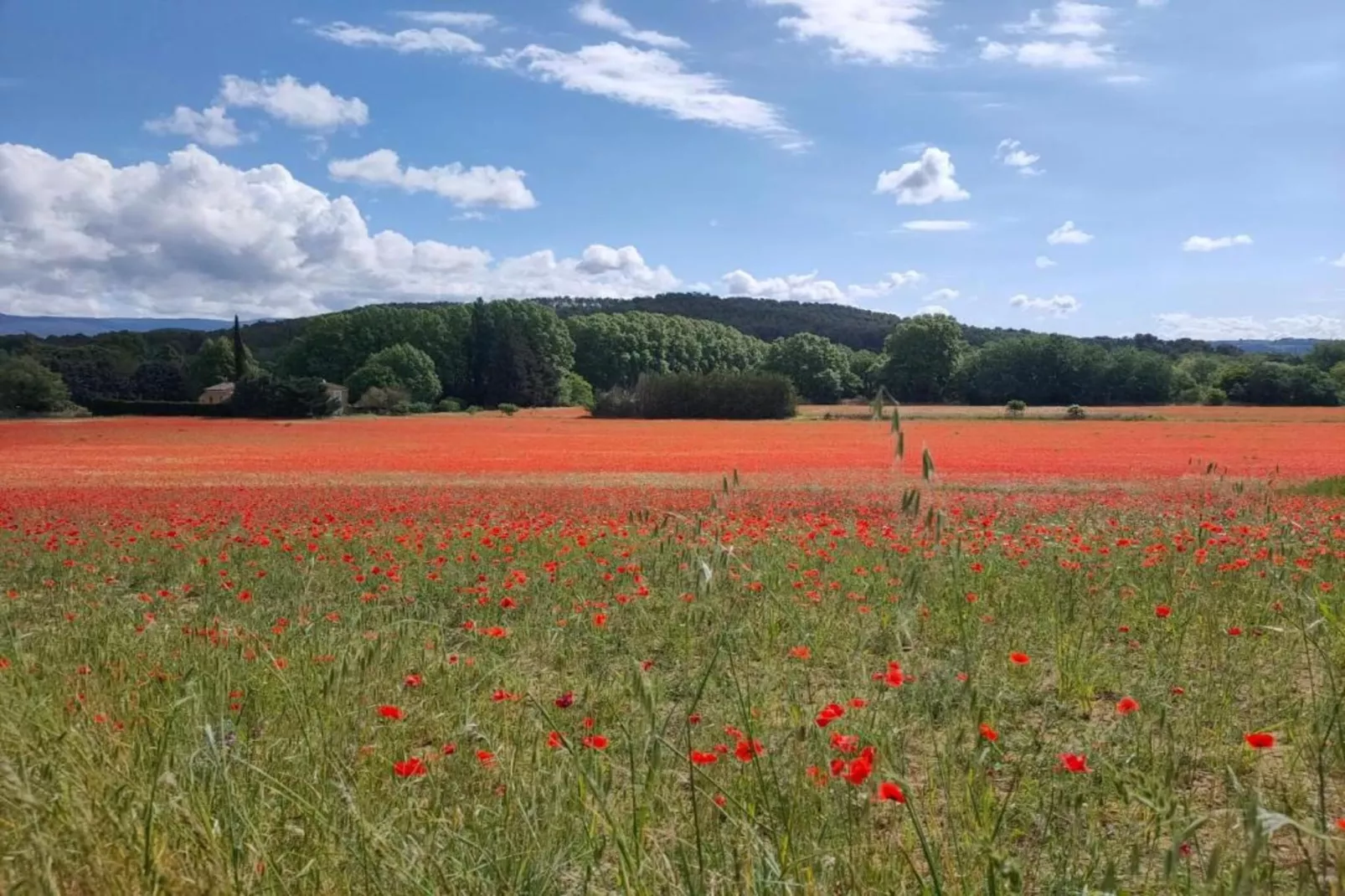 La Bastide des Chênes 3-Gebieden zomer 20km
