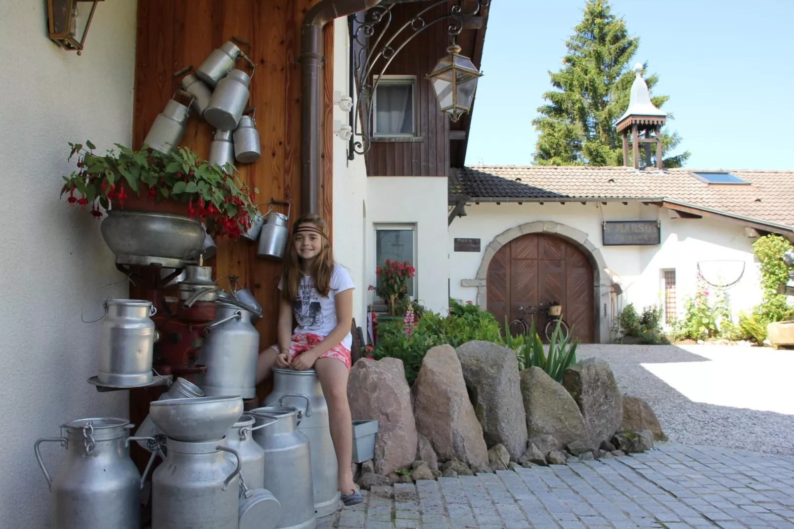 Les Chalets des Ayes 7-Hal-ontvangst