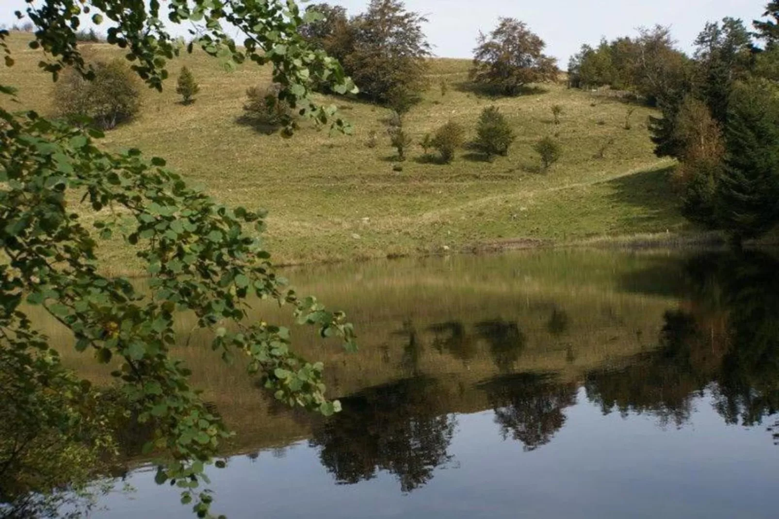 Chalet l'Aigle - Saint-Maurice-sur-Moselle-Gebieden zomer 20km