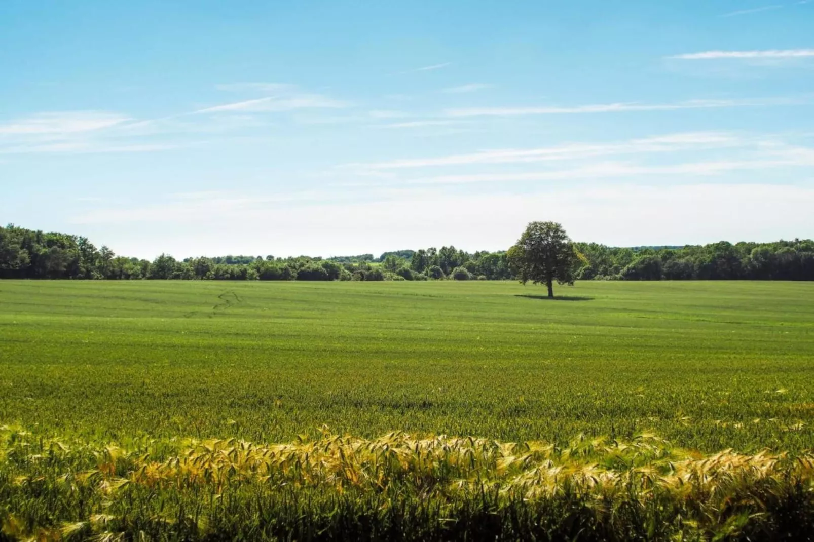 Higher House-Gebieden zomer 20km