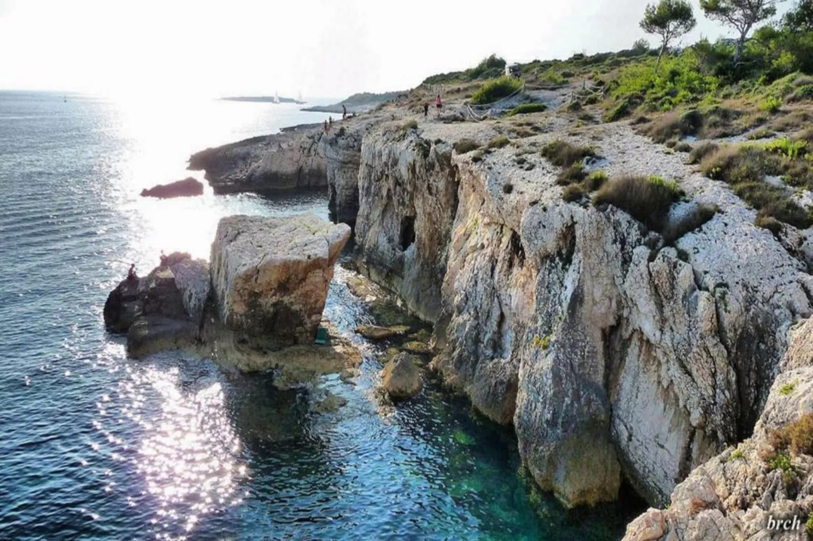 App Musoga 1-Gebieden zomer 20km