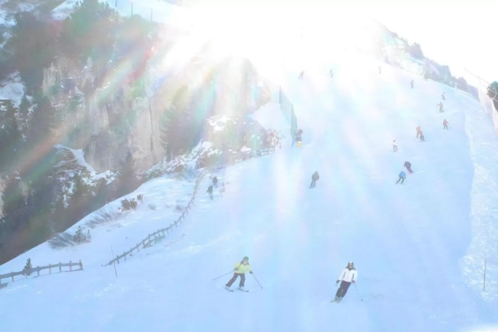 Negritella Trilo Sei-Gebied winter 20km