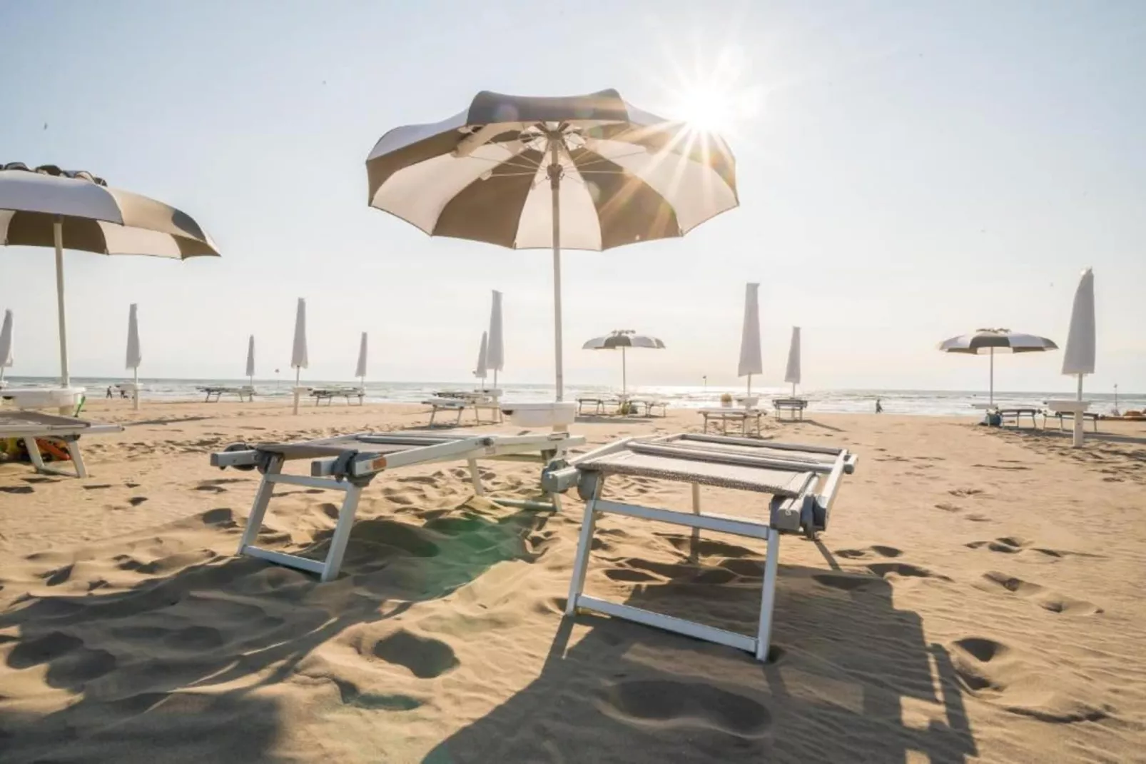 Ceseta 7-Gebieden zomer 1km