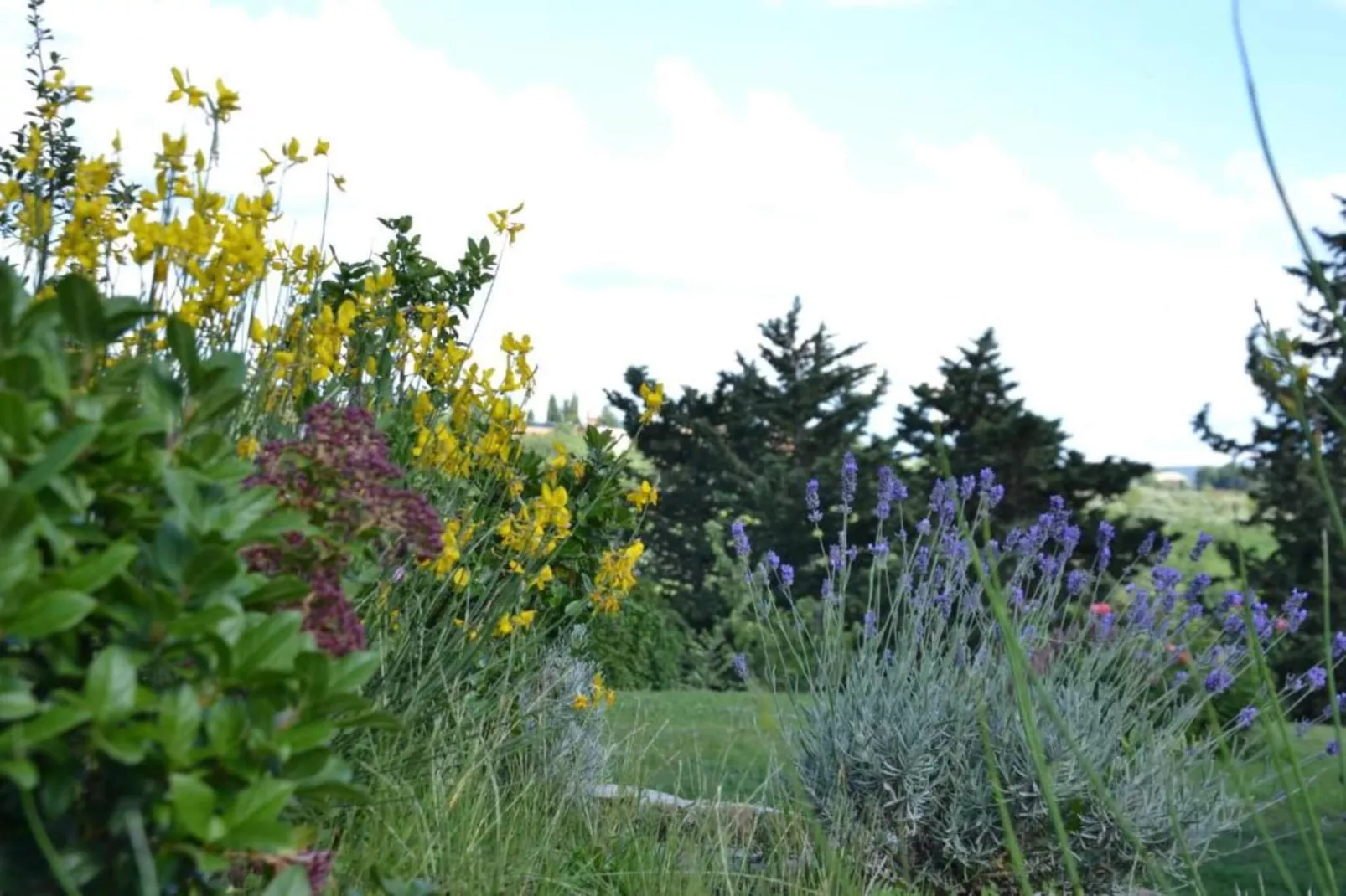 Country Resort Il Frassine-Gebieden zomer 20km