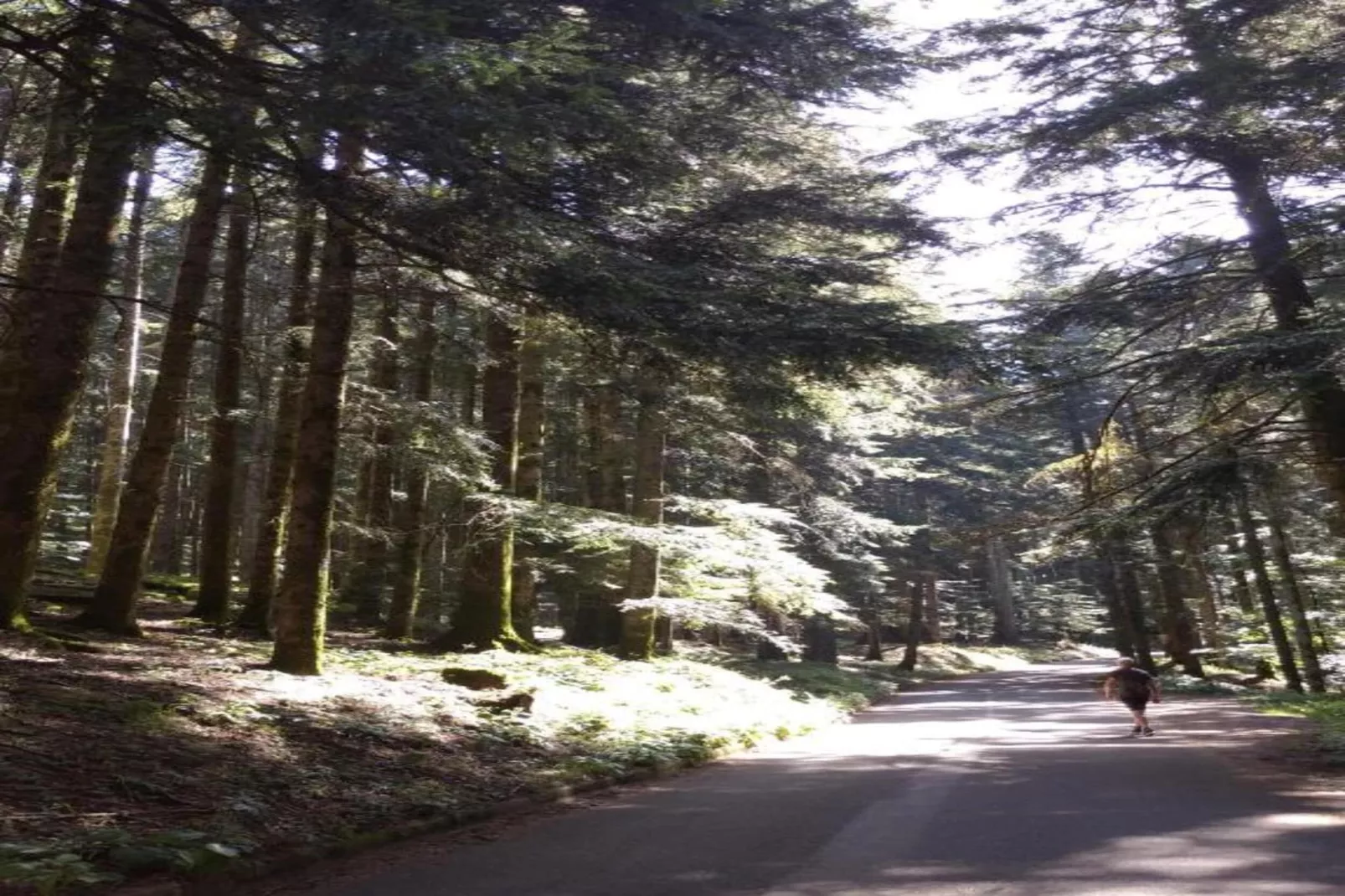 Bellavista Primo-Gebieden zomer 20km